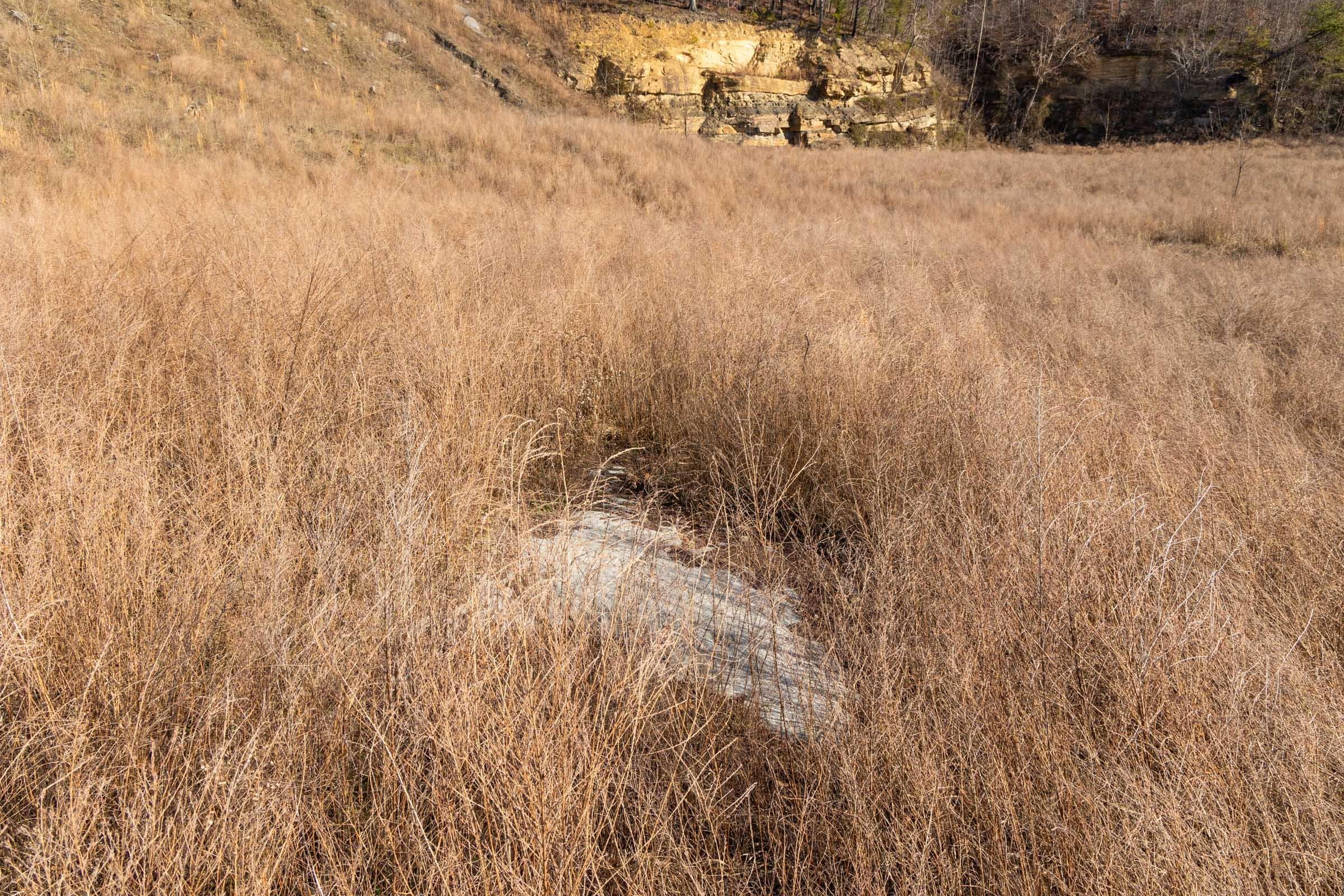 Jade Pass — Zero Credit Land owner financed land for sale in Whitley County, Kentucky photo 121
