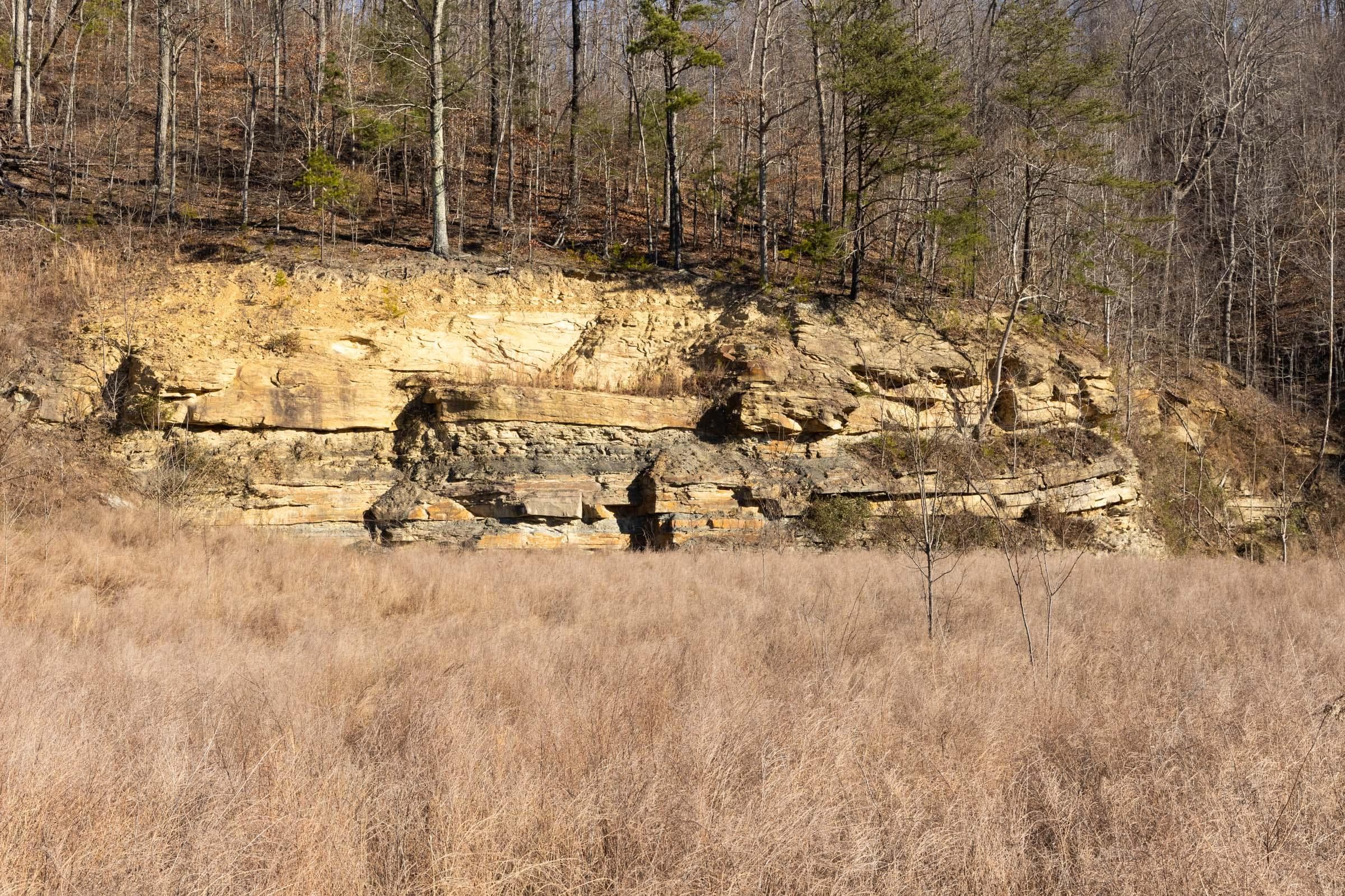 Jade Pass — Zero Credit Land owner financed land for sale in Whitley County, Kentucky photo 115