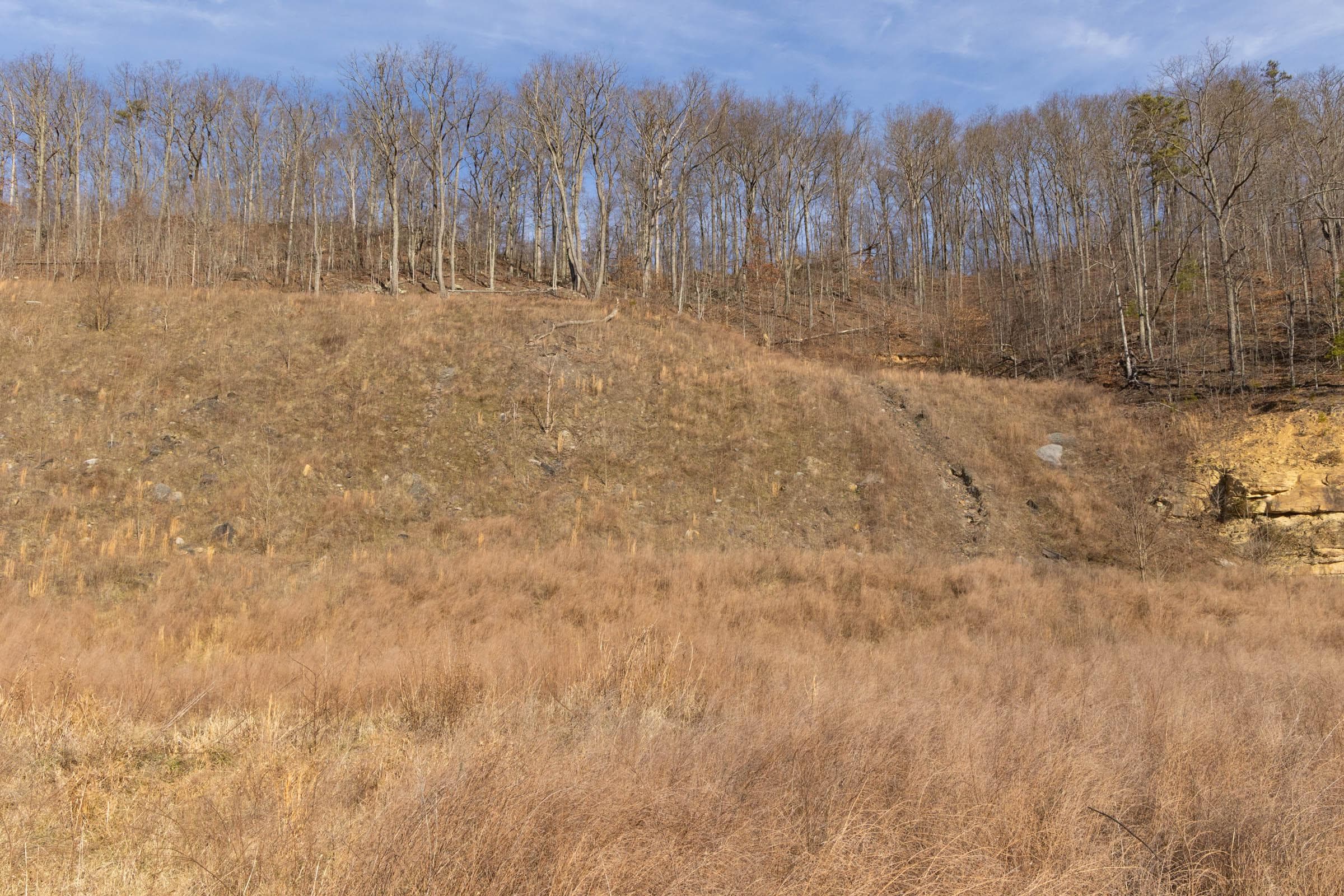 Jade Pass — Zero Credit Land owner financed land for sale in Whitley County, Kentucky photo 114