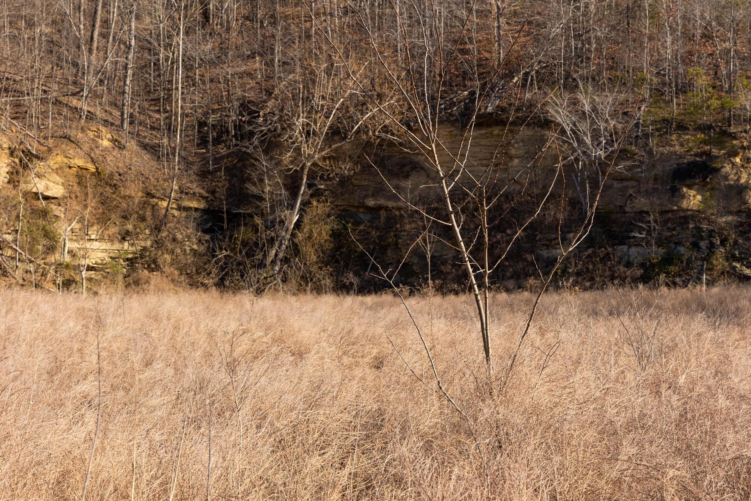 Jade Pass — Zero Credit Land owner financed land for sale in Whitley County, Kentucky photo 116