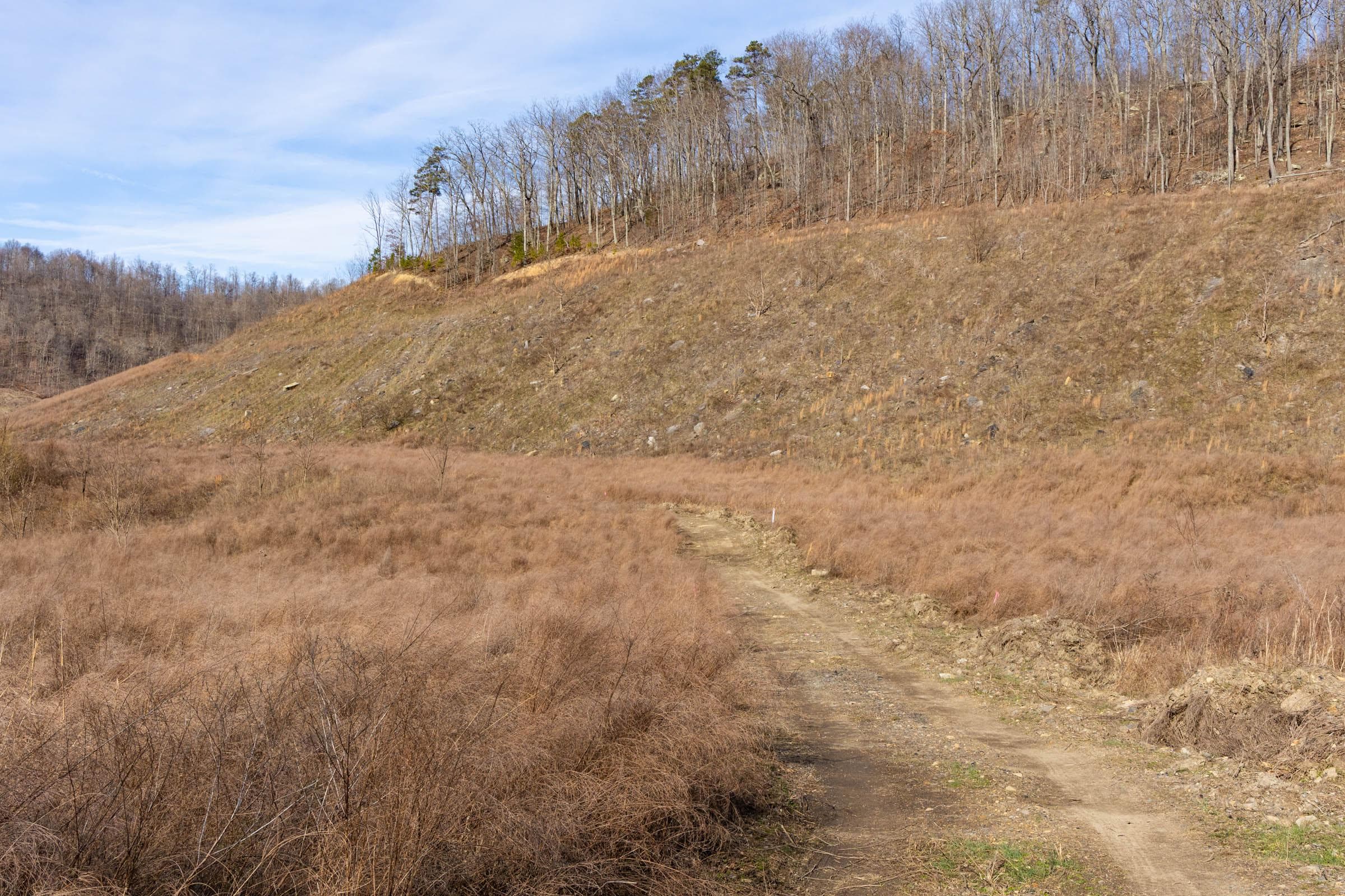 Jade Pass — Zero Credit Land owner financed land for sale in Whitley County, Kentucky photo 110