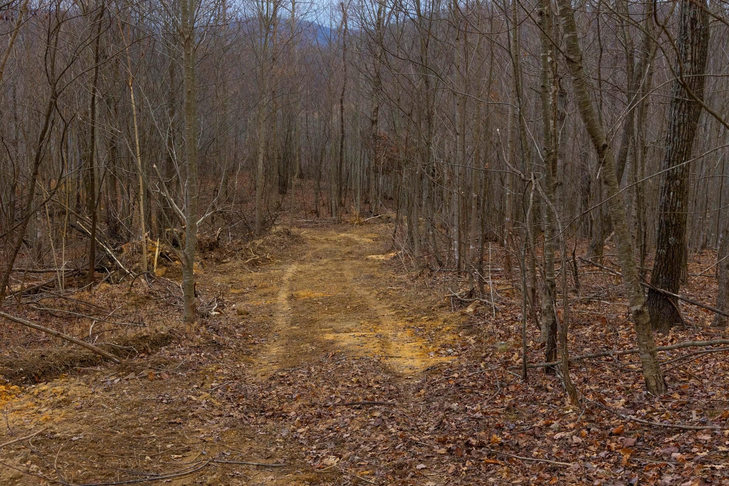 Jade Pass — Zero Credit Land owner financed land for sale in Whitley County, Kentucky photo 107