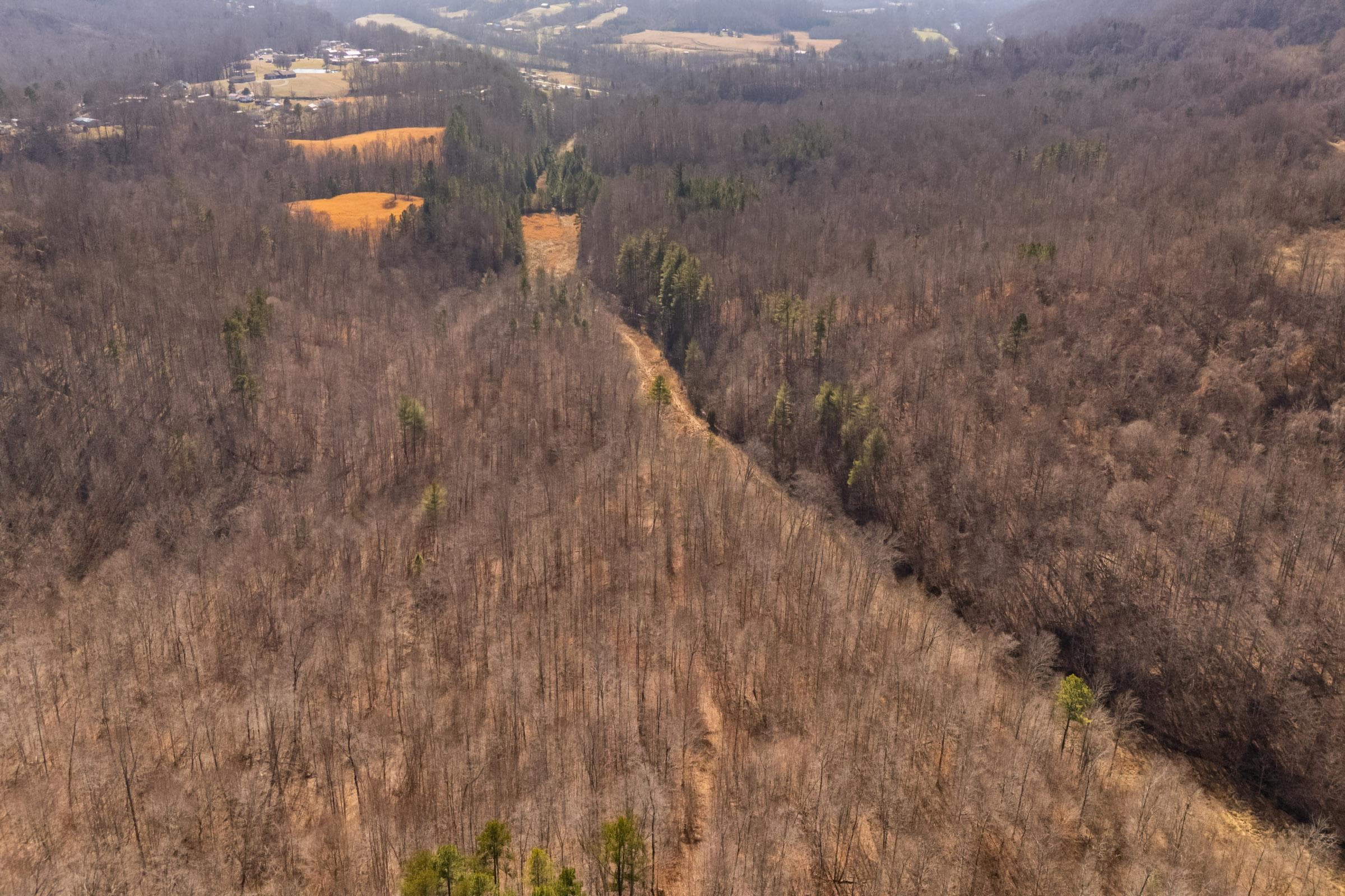 Jade Pass — Zero Credit Land owner financed land for sale in Whitley County, Kentucky photo 102