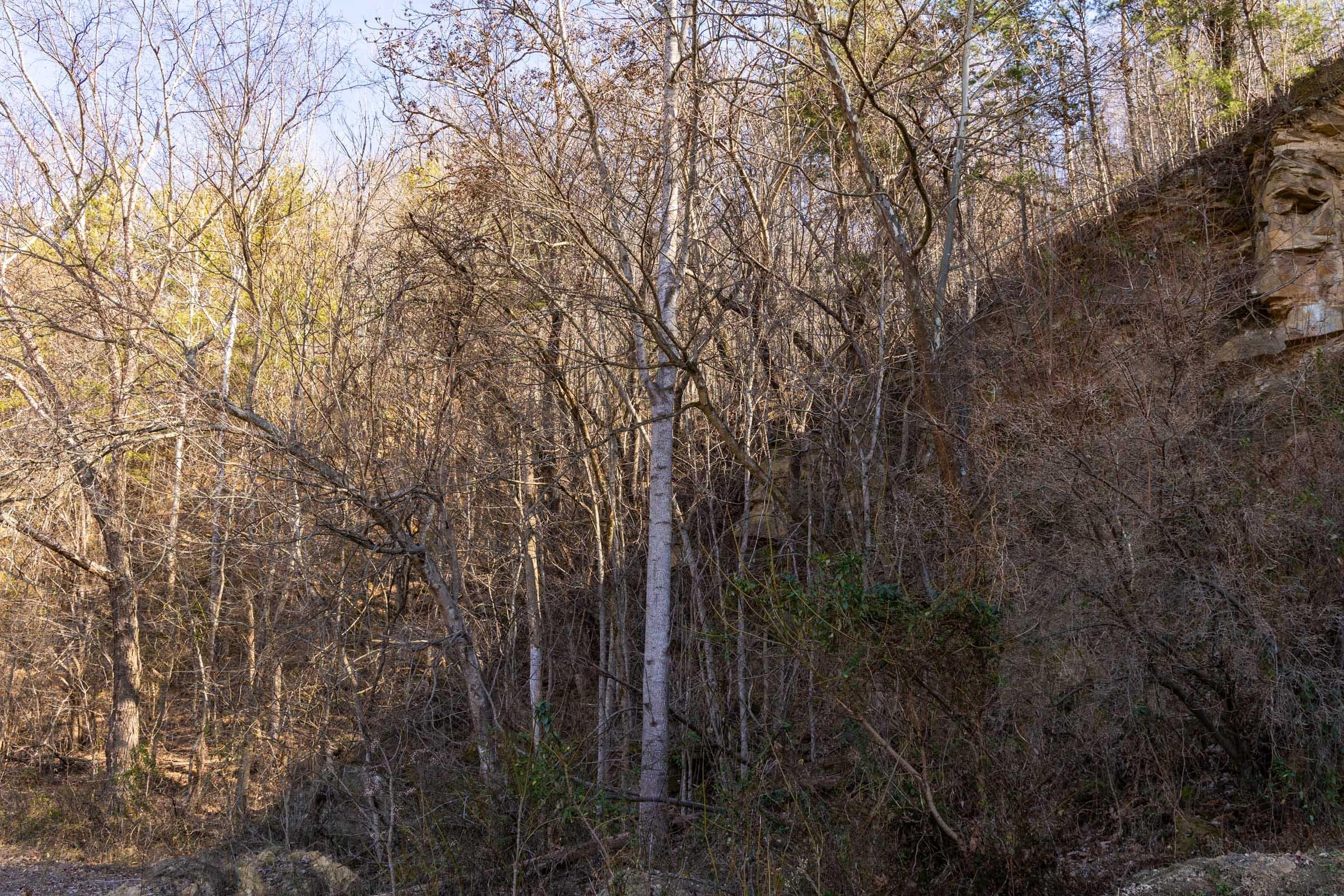 Jade Pass — Zero Credit Land owner financed land for sale in Whitley County, Kentucky photo 91