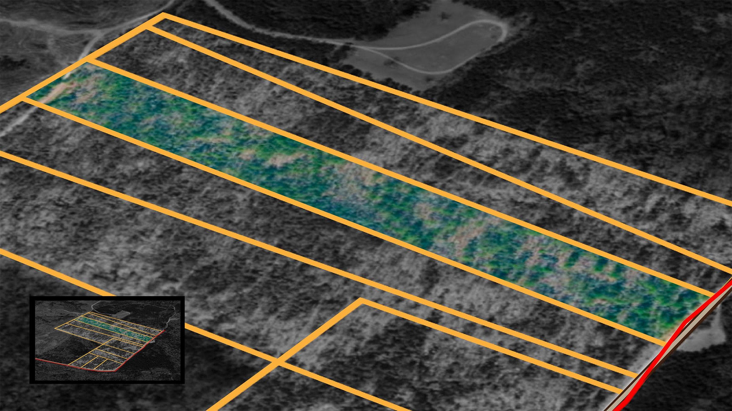 Olive Hill — Zero Credit Land owner financed land for sale in Lamar County, Alabama photo 18