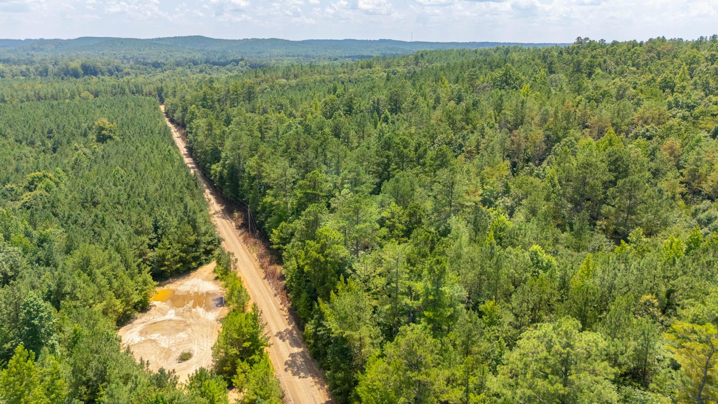 Olive Hill — Zero Credit Land owner financed land for sale in Lamar County, Alabama photo 15