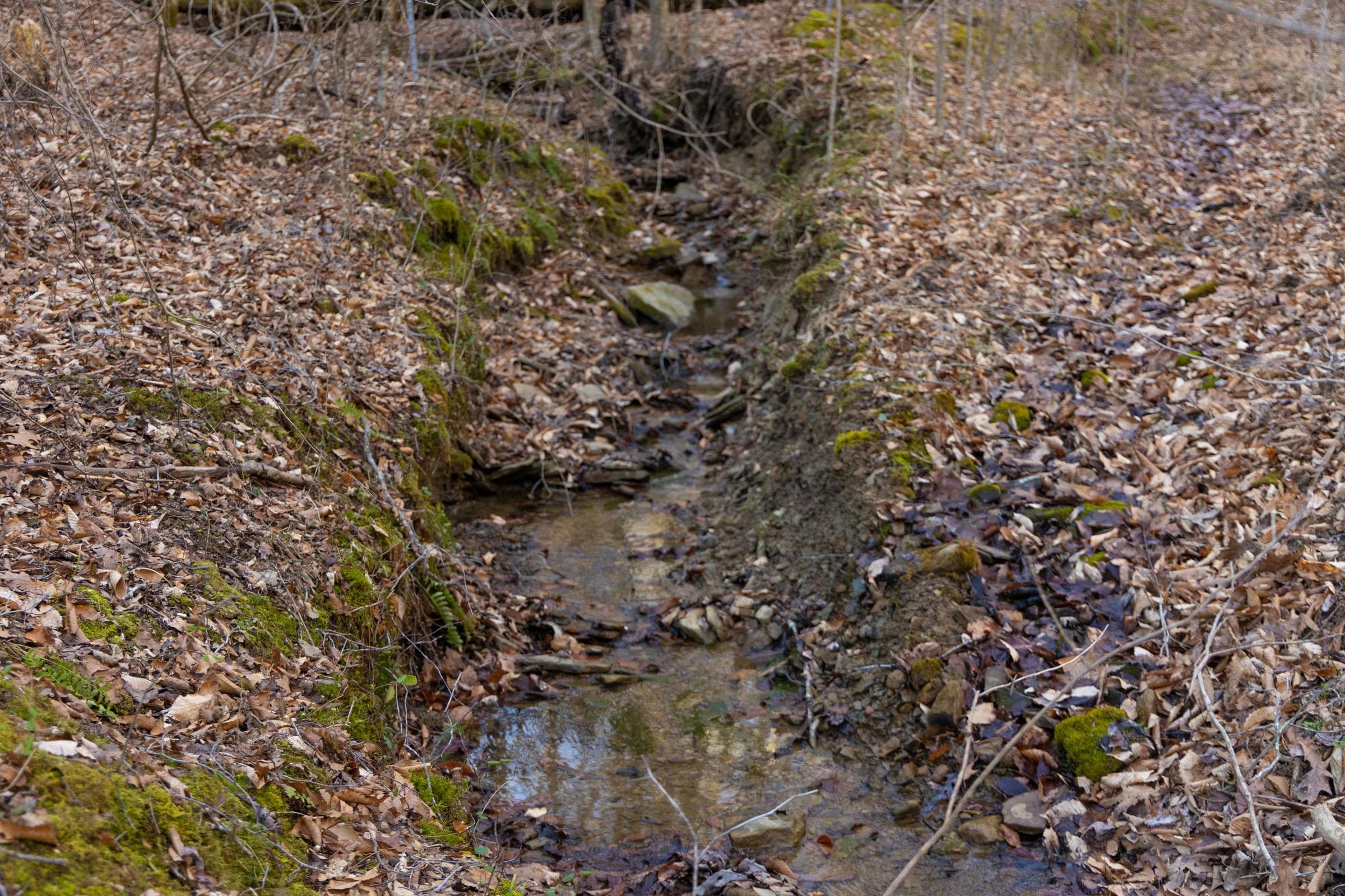 Jade Pass — Zero Credit Land owner financed land for sale in Whitley County, Kentucky photo 12