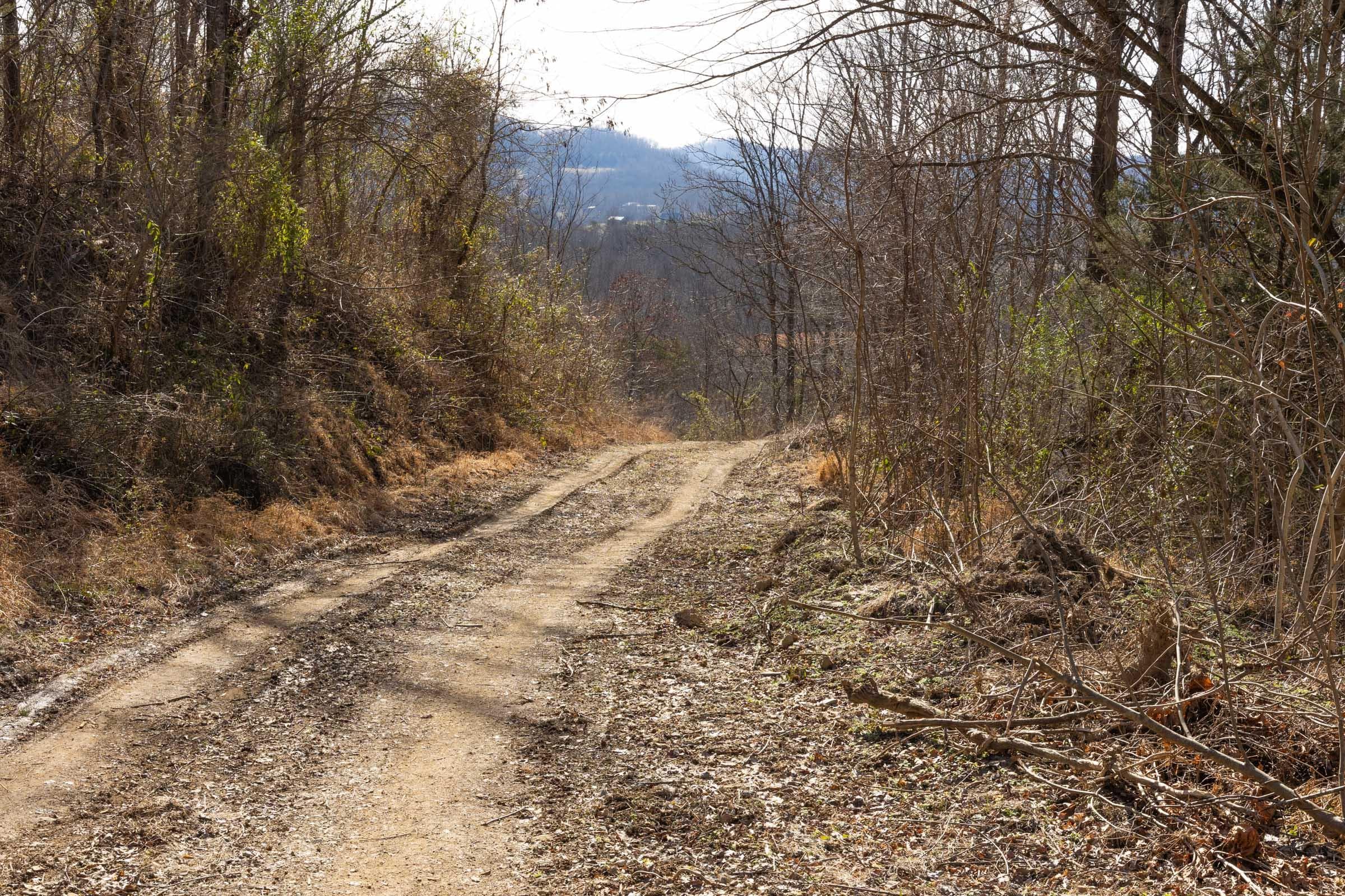 Jade Pass — Zero Credit Land owner financed land for sale in Whitley County, Kentucky photo 86