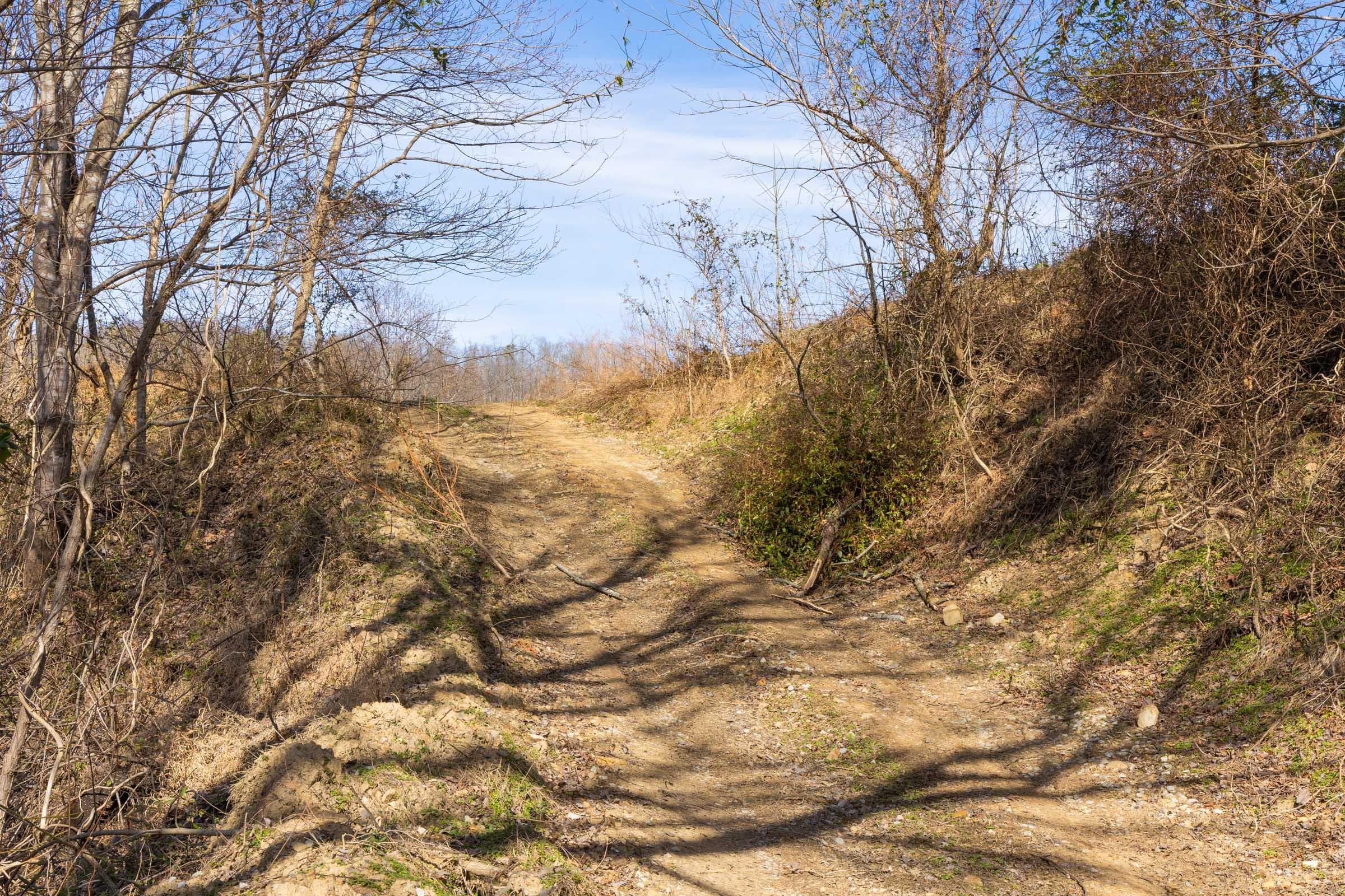 Jade Pass — Zero Credit Land owner financed land for sale in Whitley County, Kentucky photo 84