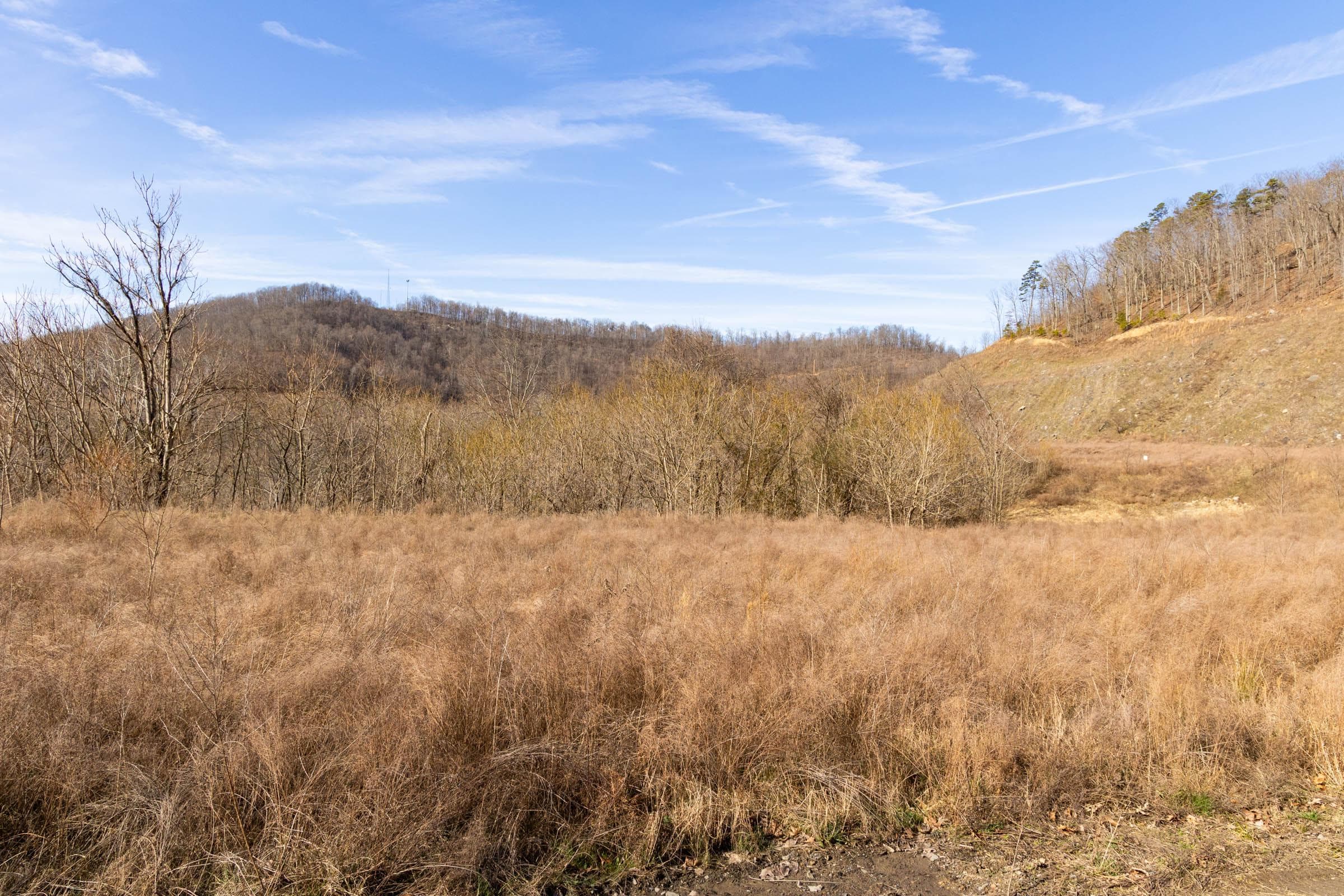 Jade Pass — Zero Credit Land owner financed land for sale in Whitley County, Kentucky photo 80