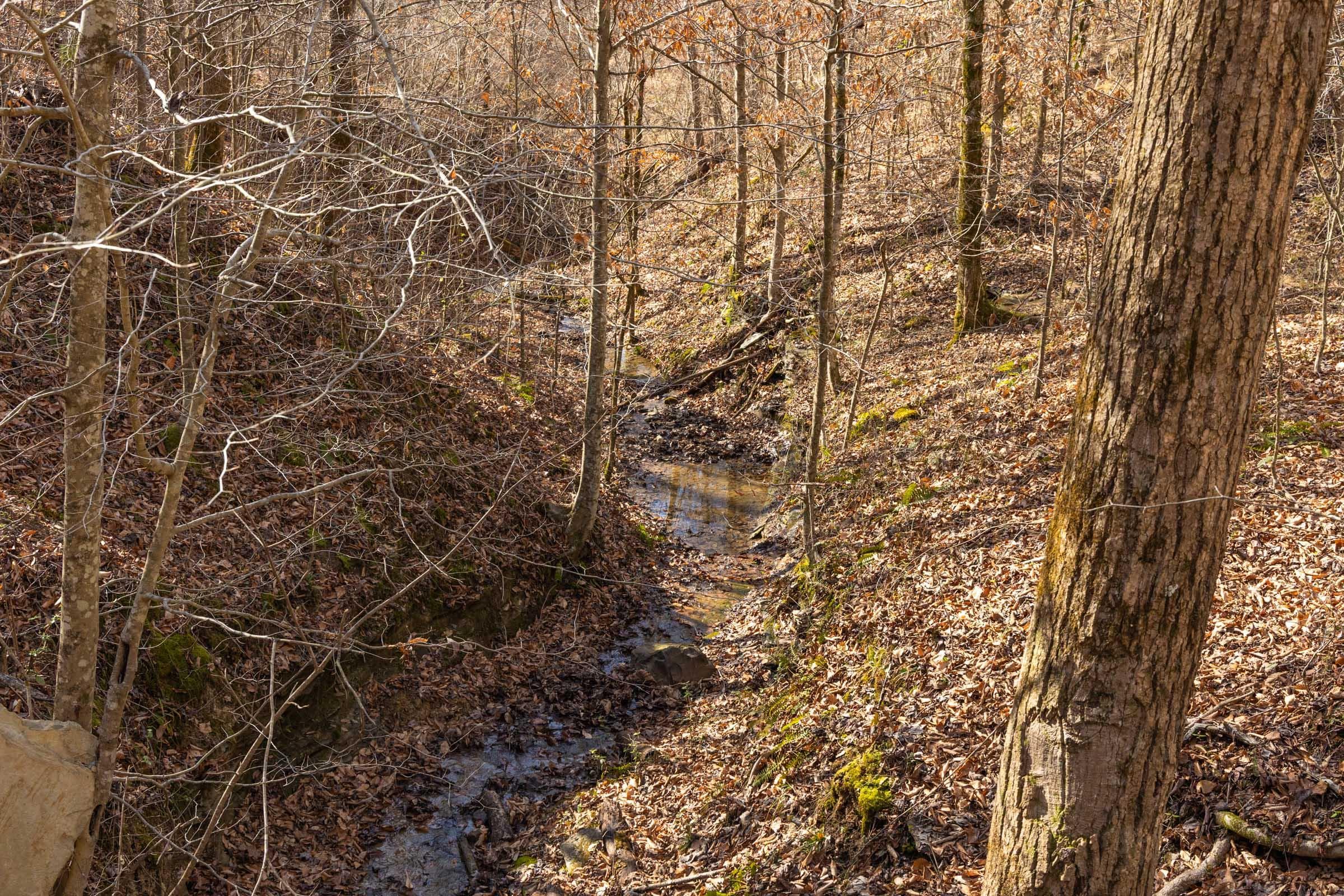 Jade Pass — Zero Credit Land owner financed land for sale in Whitley County, Kentucky photo 76