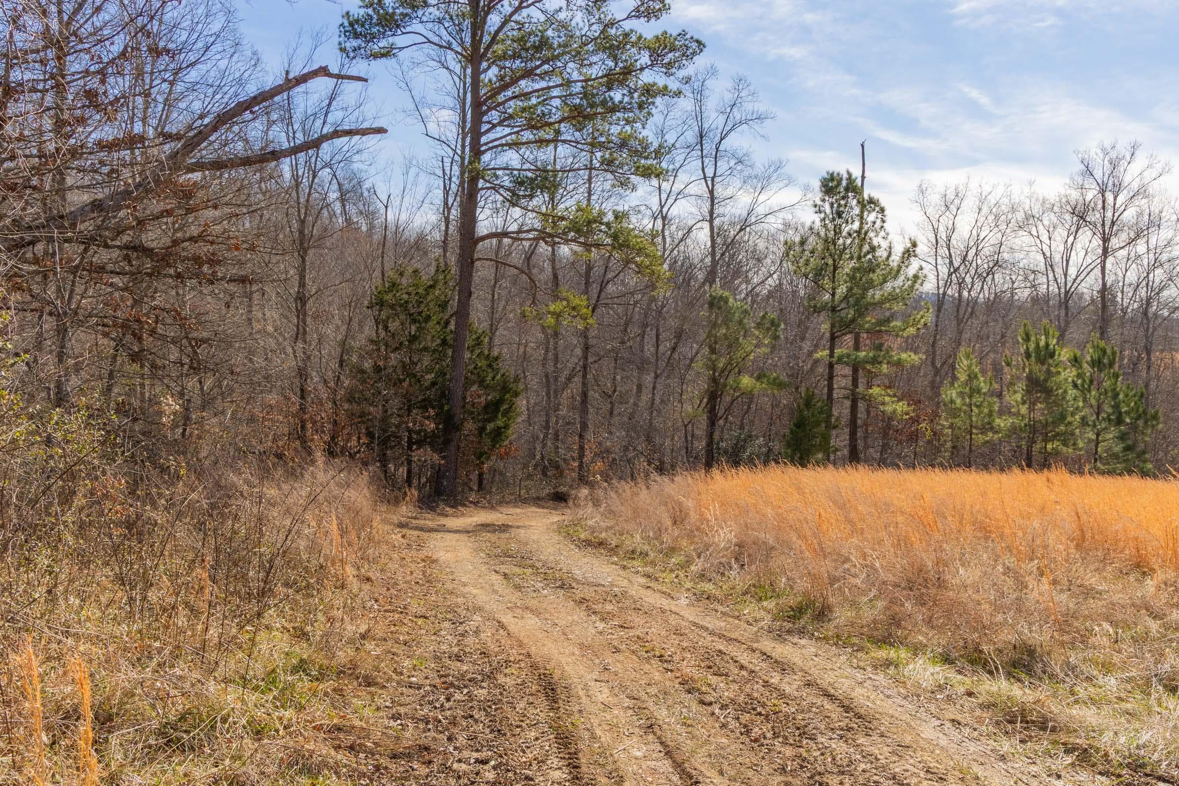 Jade Pass — Zero Credit Land owner financed land for sale in Whitley County, Kentucky photo 73