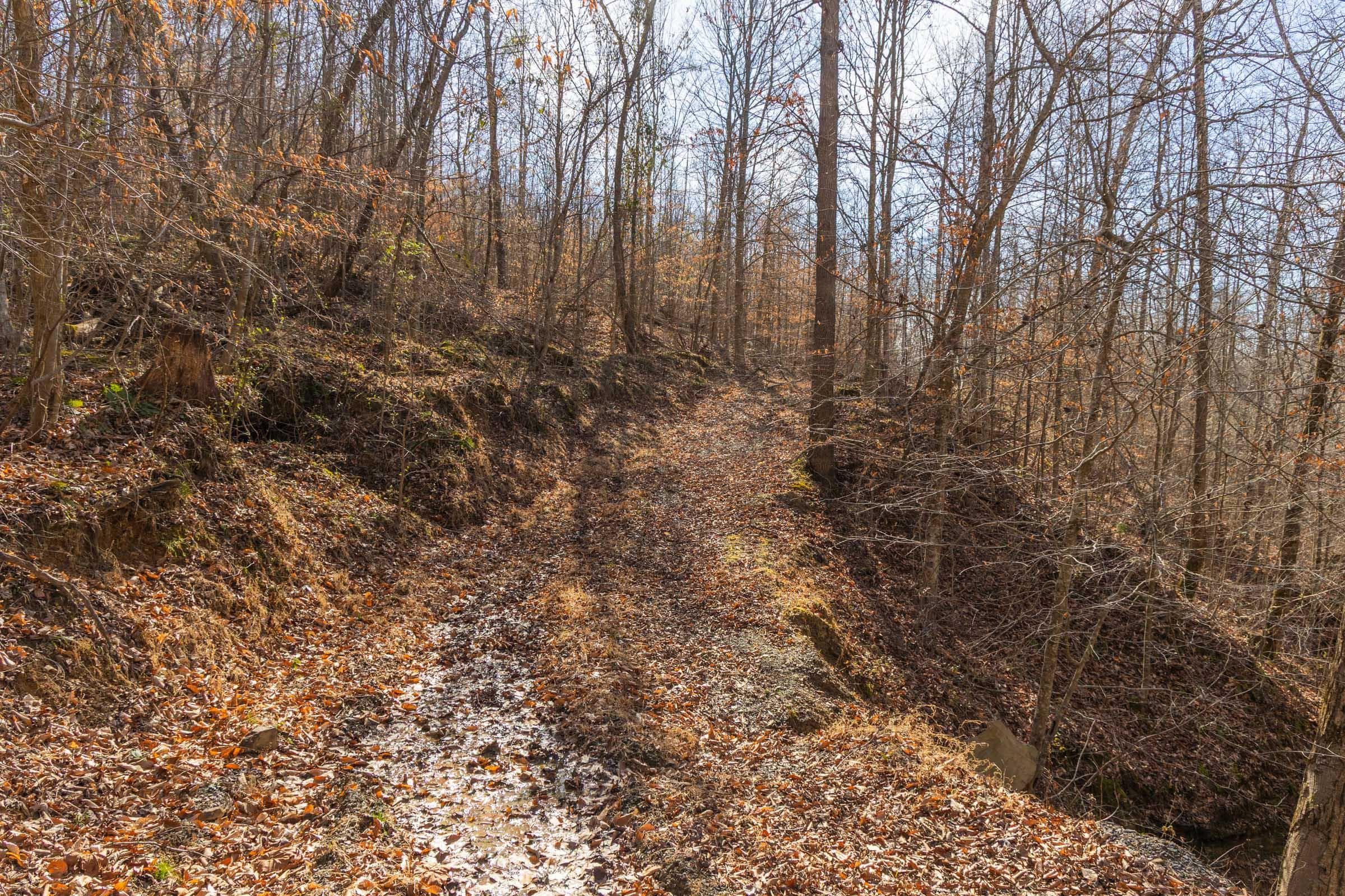 Jade Pass — Zero Credit Land owner financed land for sale in Whitley County, Kentucky photo 78