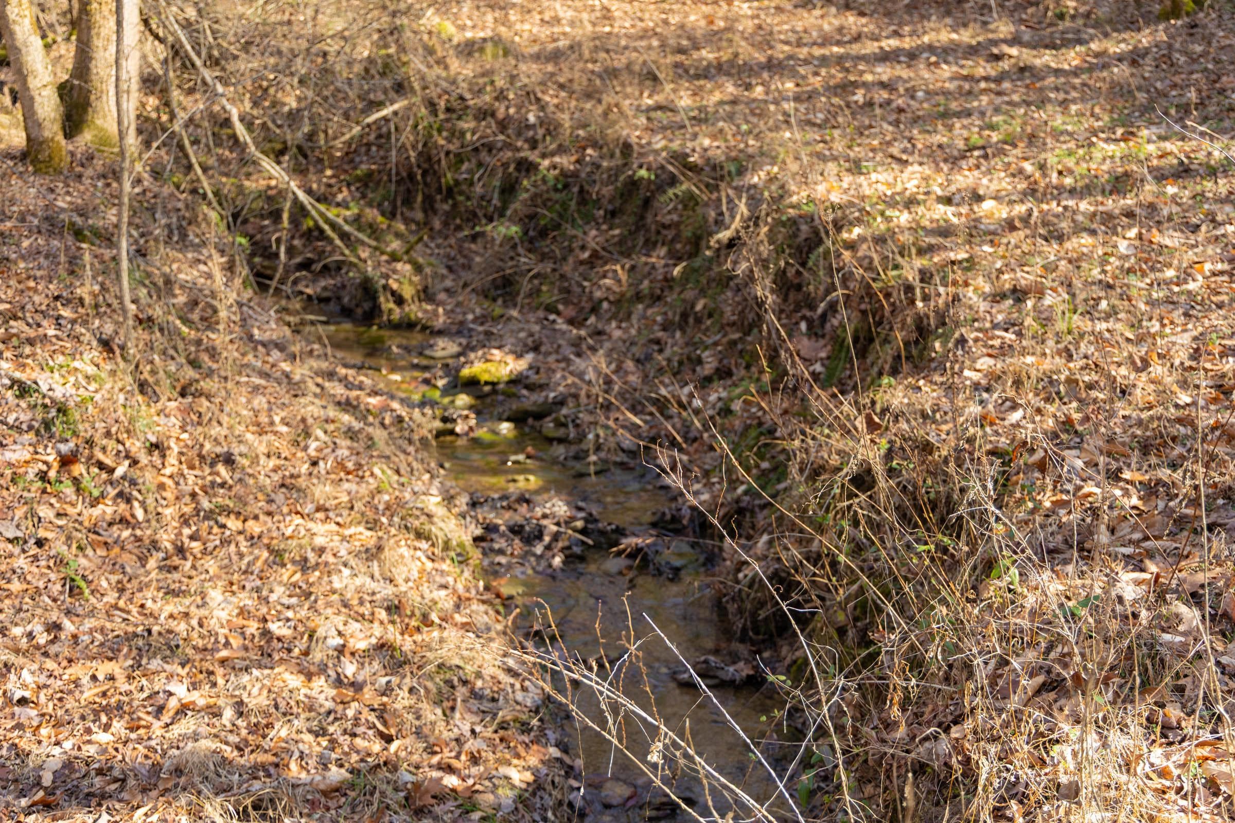 Jade Pass — Zero Credit Land owner financed land for sale in Whitley County, Kentucky photo 66