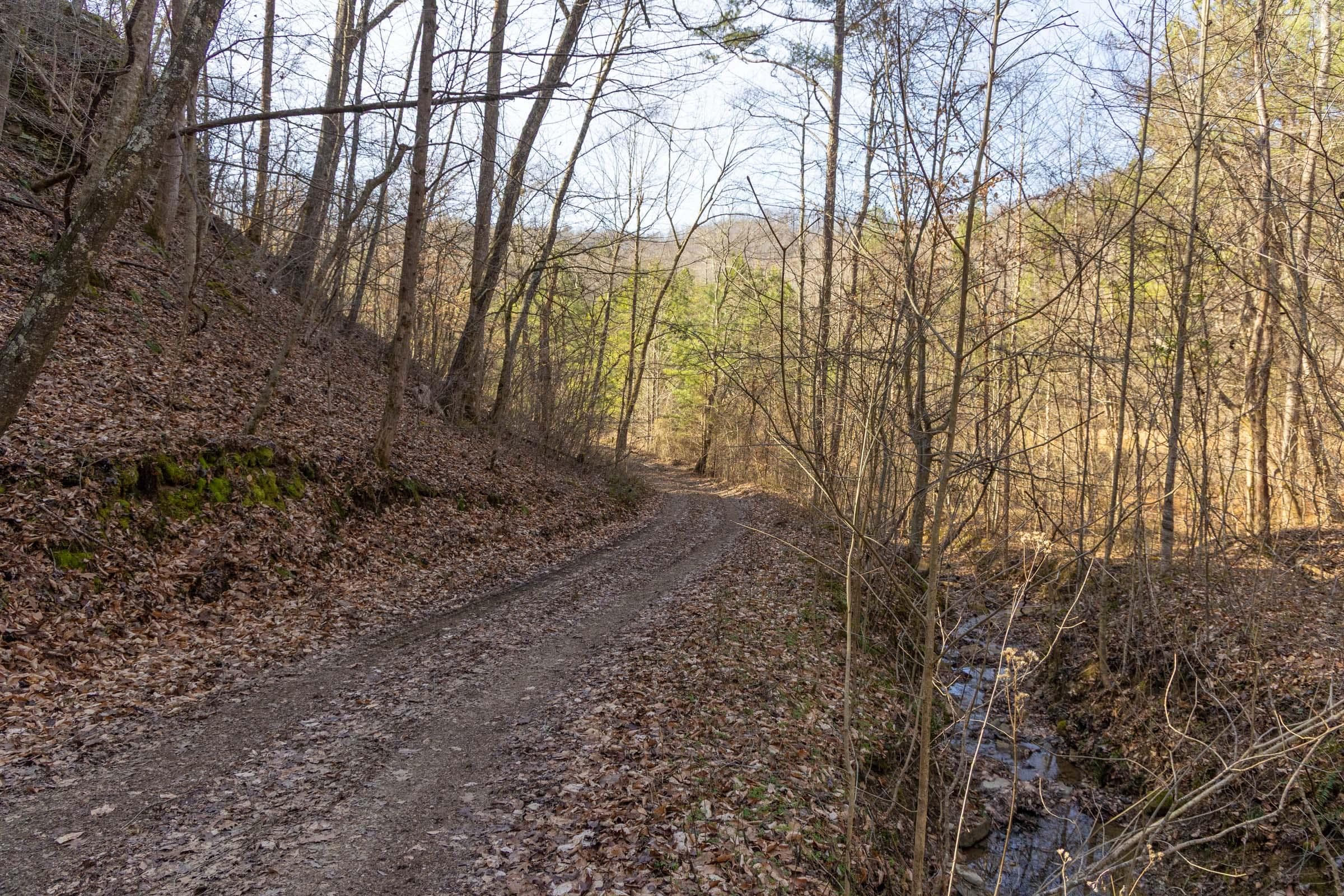 Jade Pass — Zero Credit Land owner financed land for sale in Whitley County, Kentucky photo 71