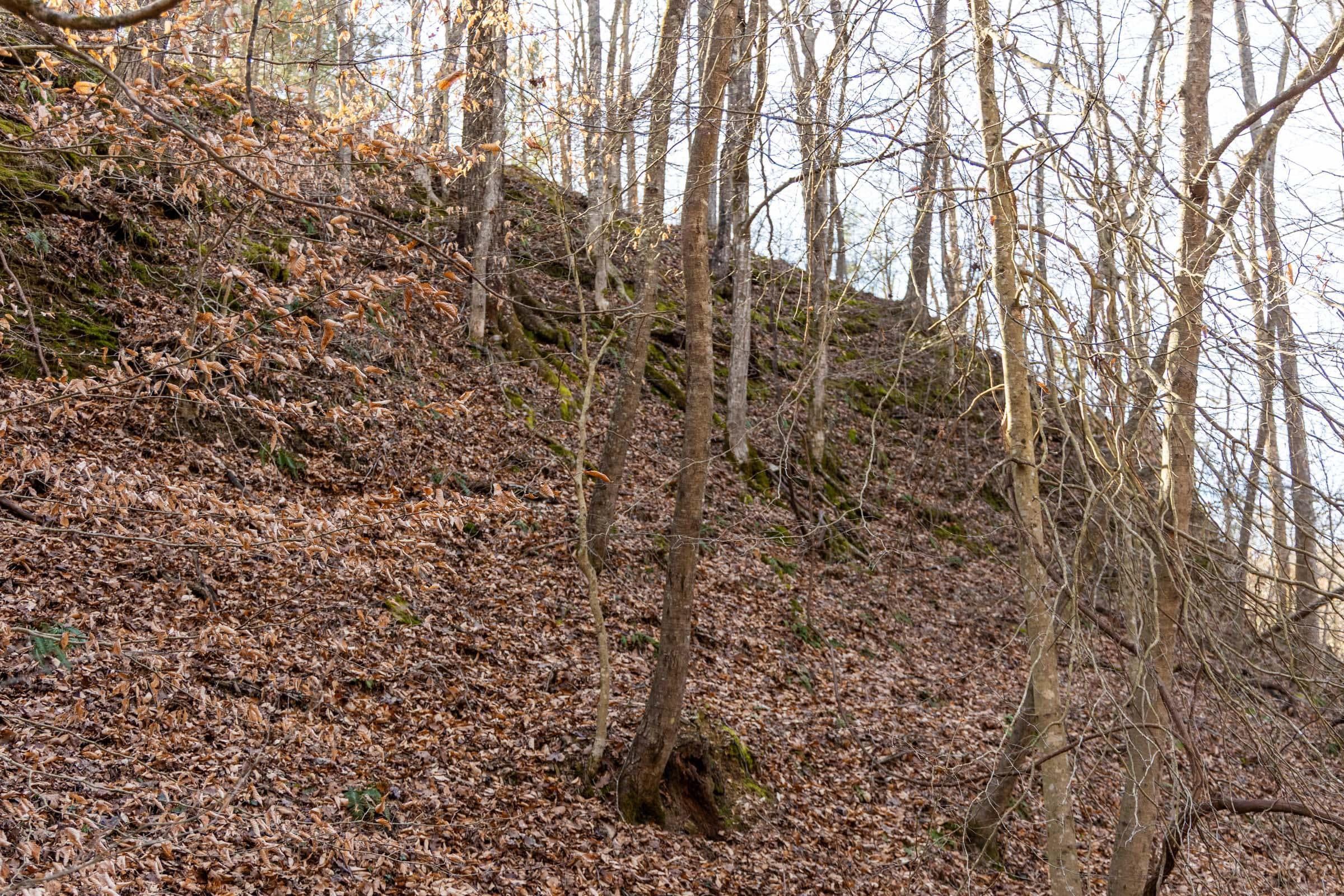 Jade Pass — Zero Credit Land owner financed land for sale in Whitley County, Kentucky photo 69