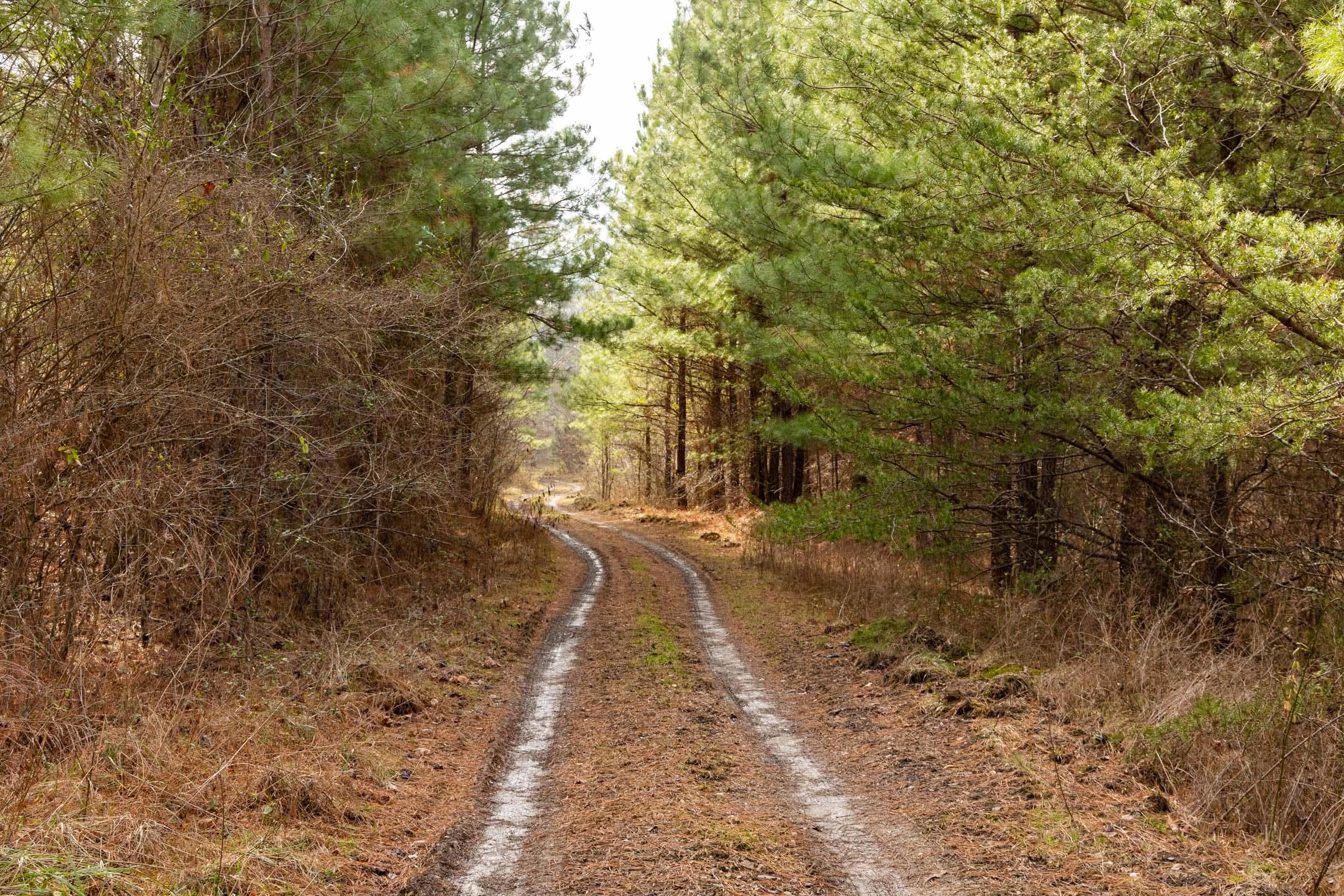 Jade Pass — Zero Credit Land owner financed land for sale in Whitley County, Kentucky photo 63
