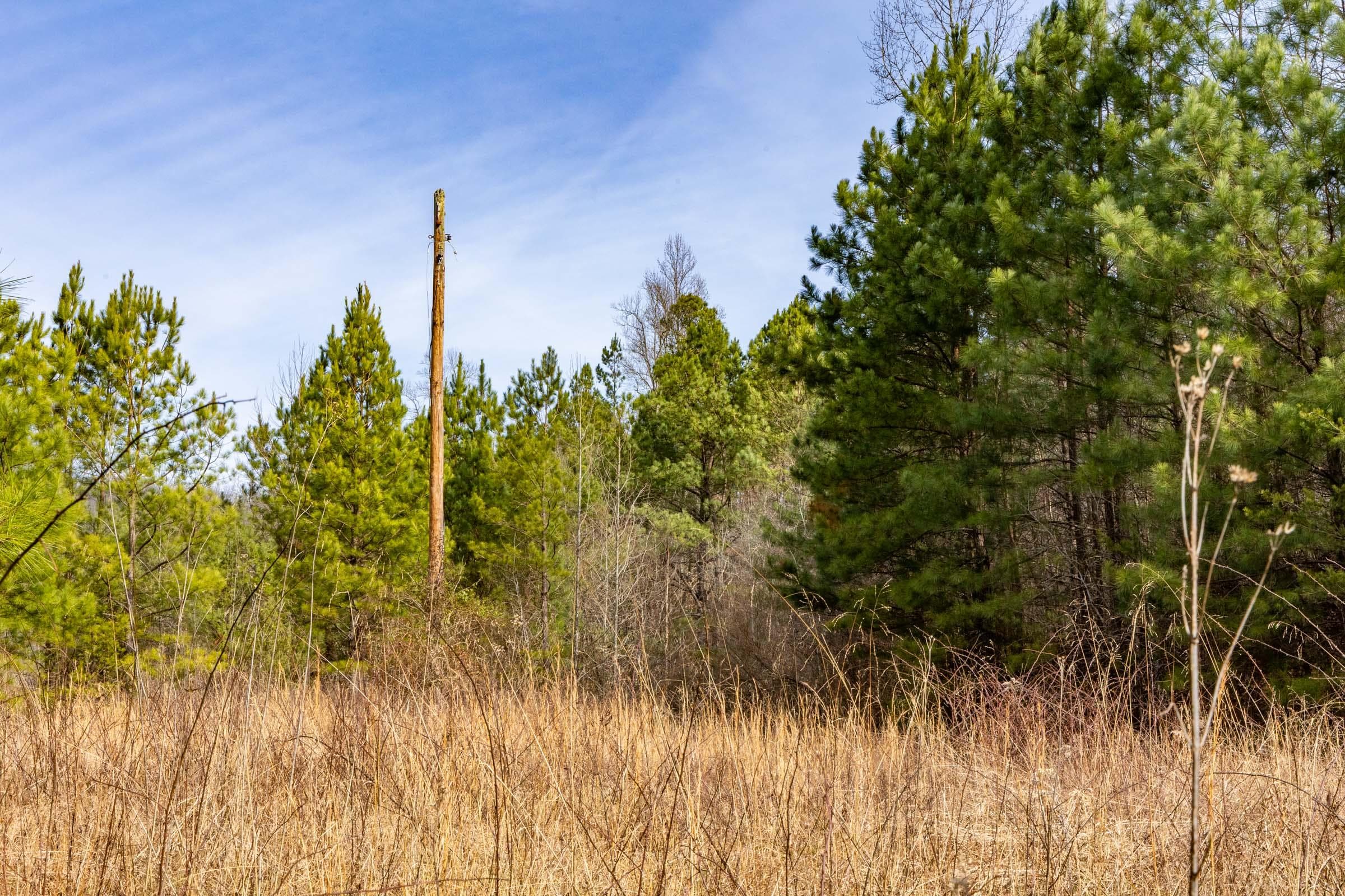 Jade Pass — Zero Credit Land owner financed land for sale in Whitley County, Kentucky photo 61