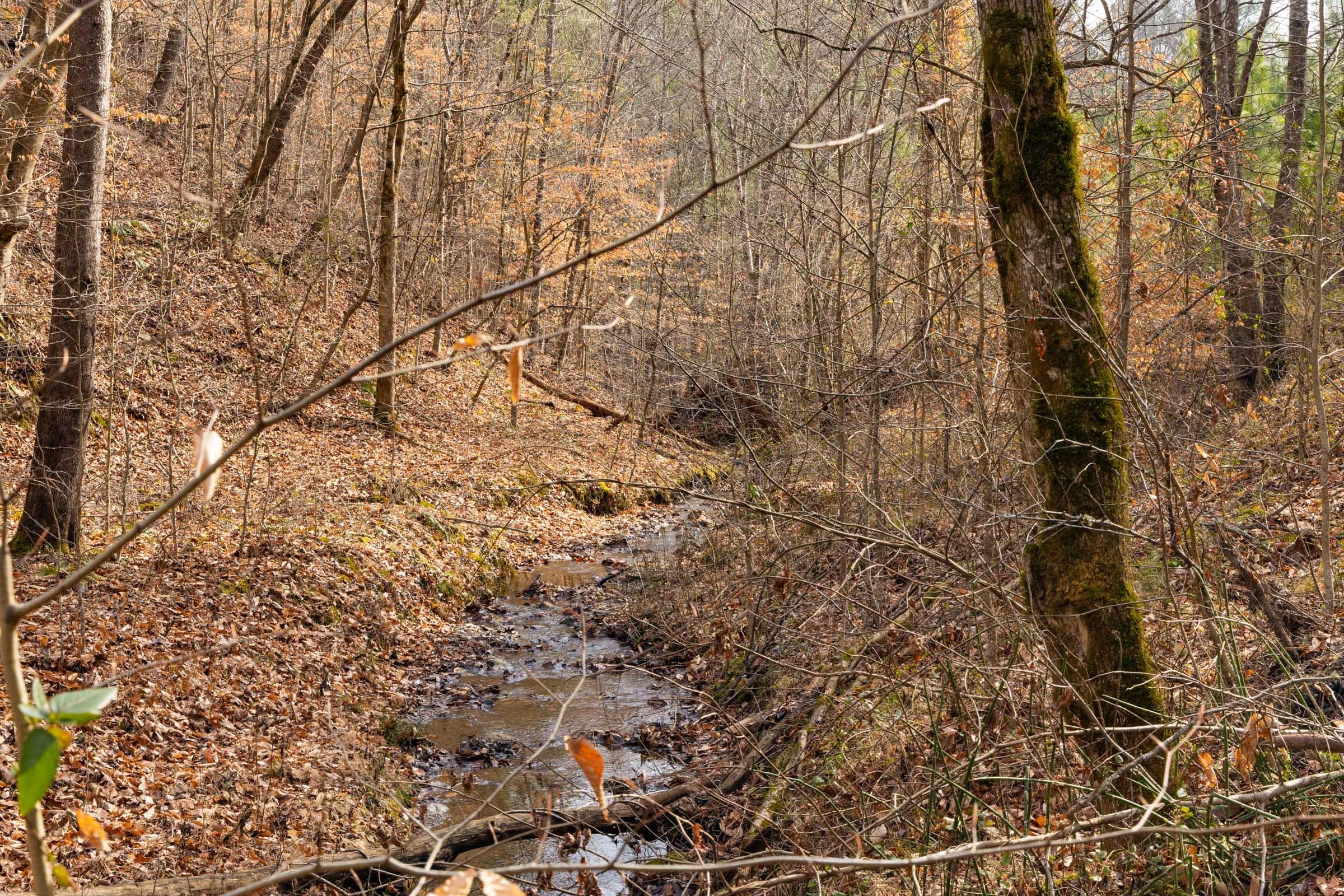 Jade Pass — Zero Credit Land owner financed land for sale in Whitley County, Kentucky photo 55
