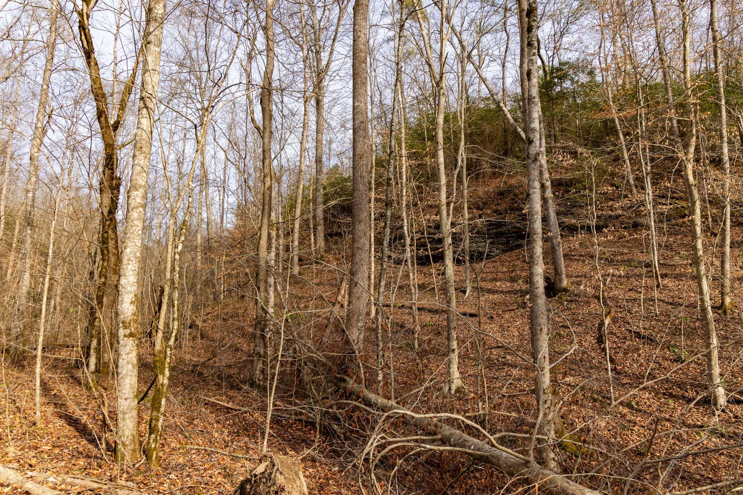 Jade Pass — Zero Credit Land owner financed land for sale in Whitley County, Kentucky photo 57