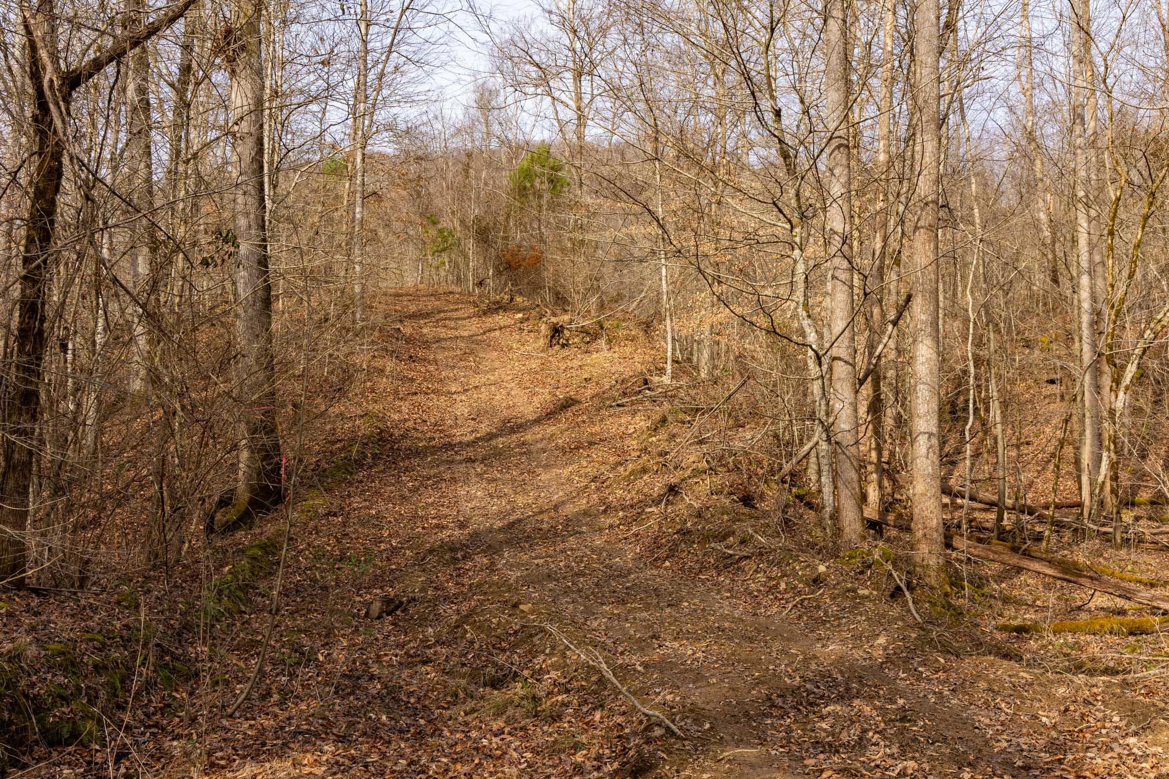 Jade Pass — Zero Credit Land owner financed land for sale in Whitley County, Kentucky photo 56