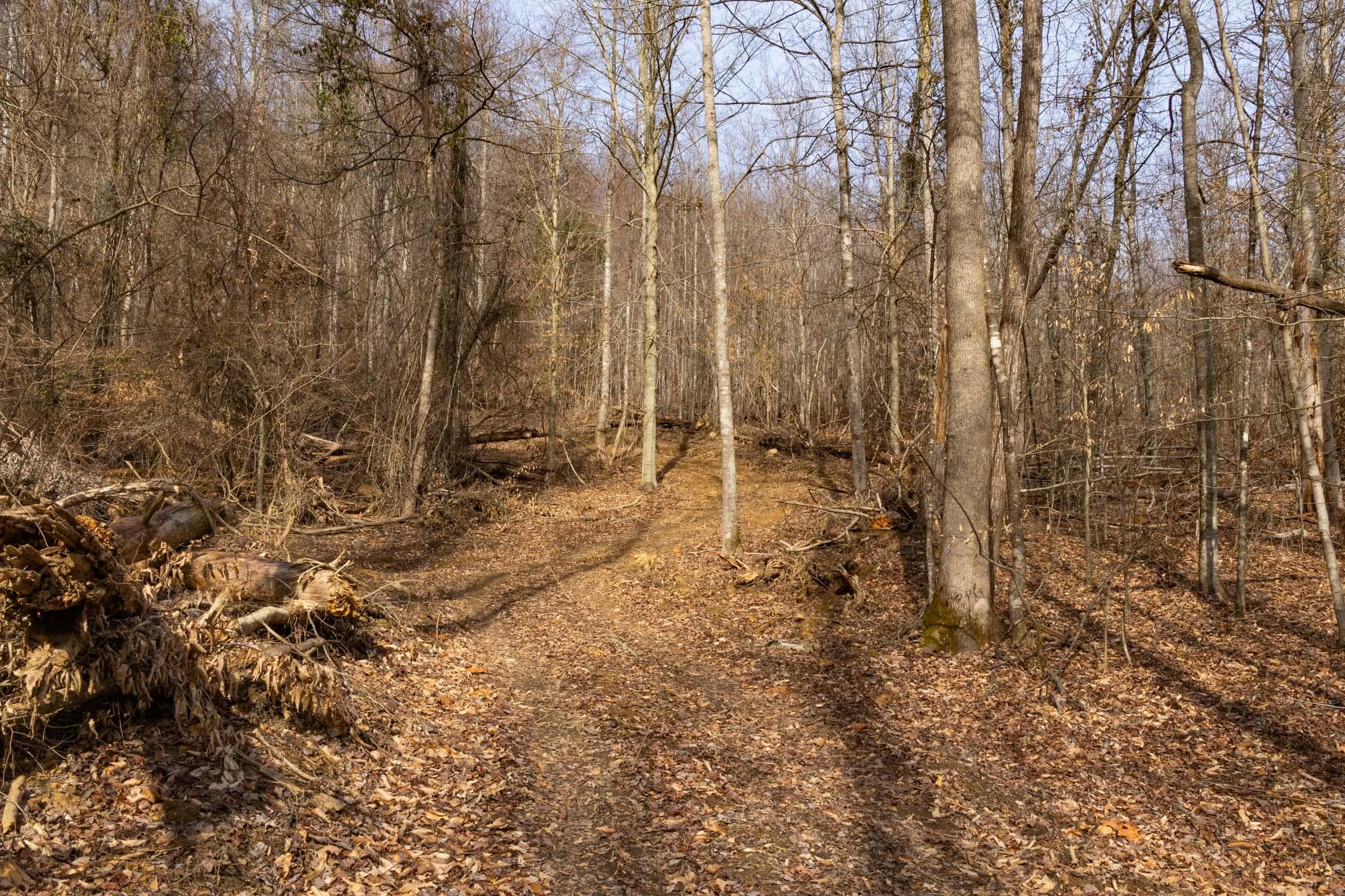 Jade Pass — Zero Credit Land owner financed land for sale in Whitley County, Kentucky photo 52