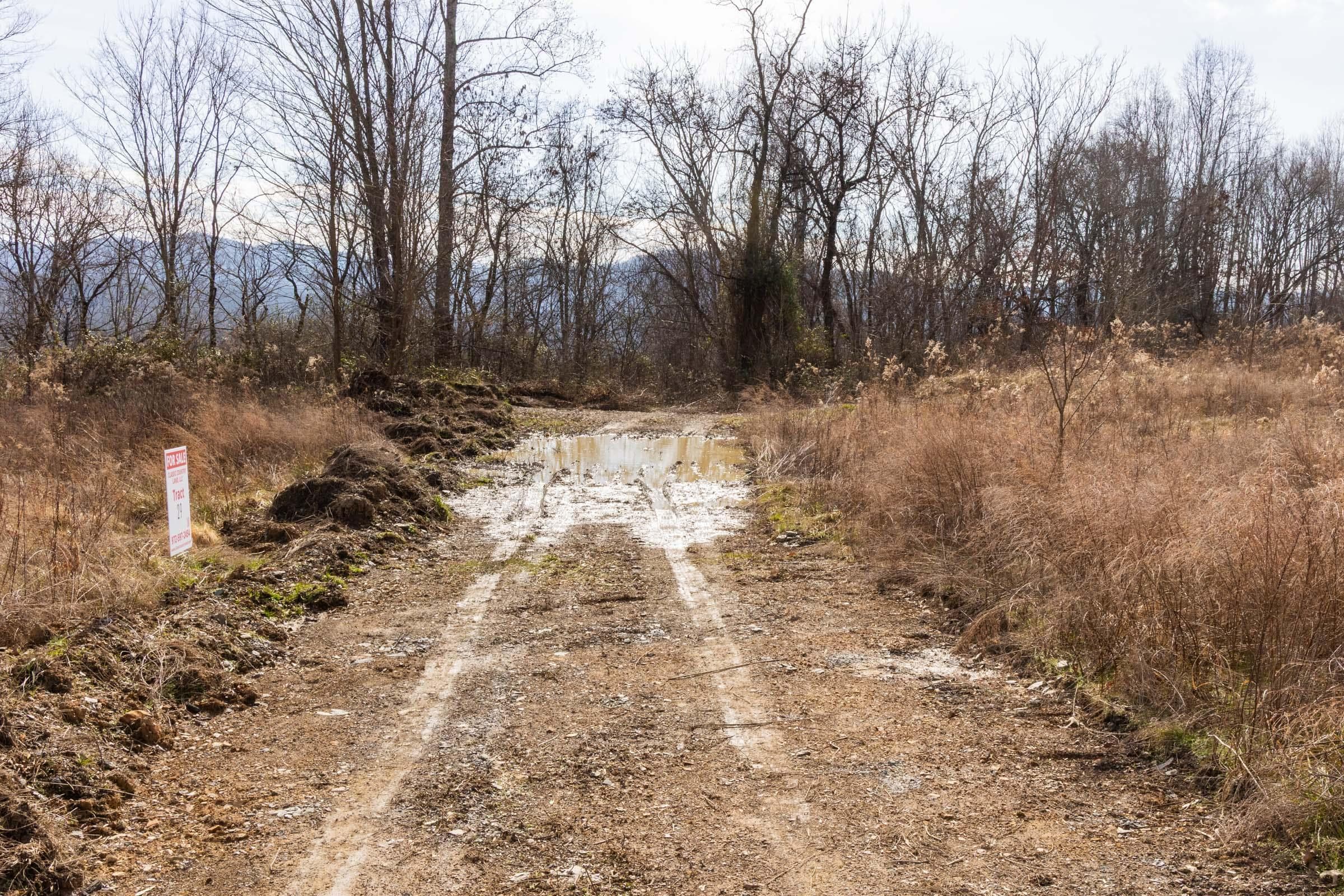 Jade Pass — Zero Credit Land owner financed land for sale in Whitley County, Kentucky photo 46