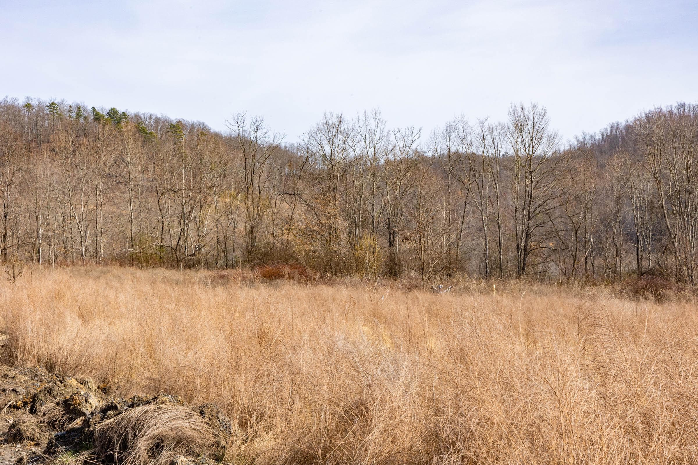 Jade Pass — Zero Credit Land owner financed land for sale in Whitley County, Kentucky photo 49