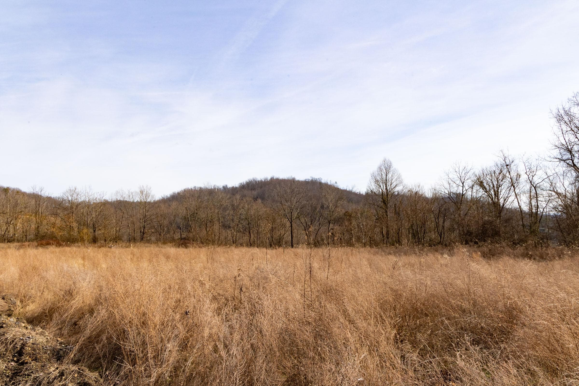 Jade Pass — Zero Credit Land owner financed land for sale in Whitley County, Kentucky photo 47