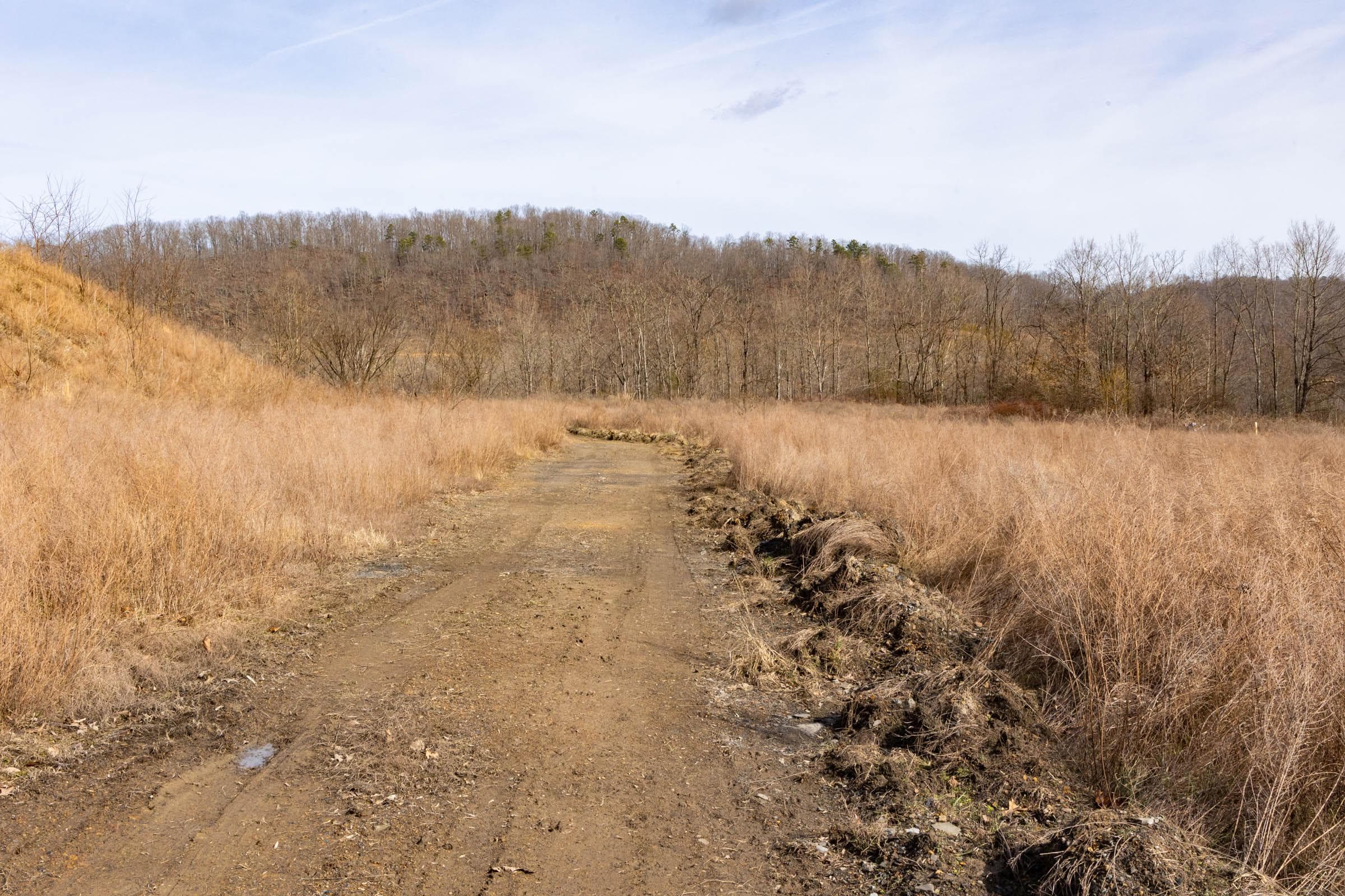 Jade Pass — Zero Credit Land owner financed land for sale in Whitley County, Kentucky photo 45