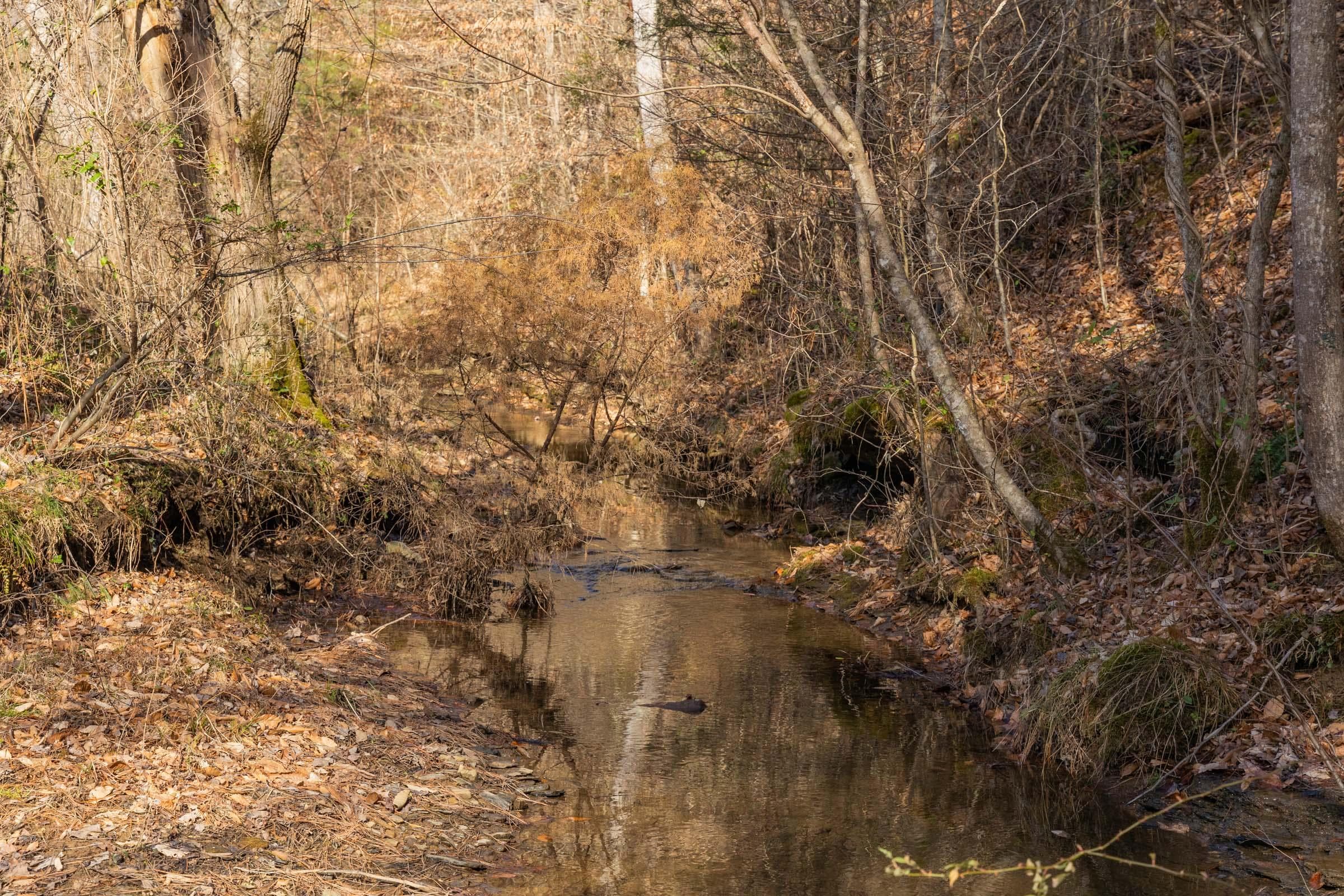 Jade Pass — Zero Credit Land owner financed land for sale in Whitley County, Kentucky photo 40