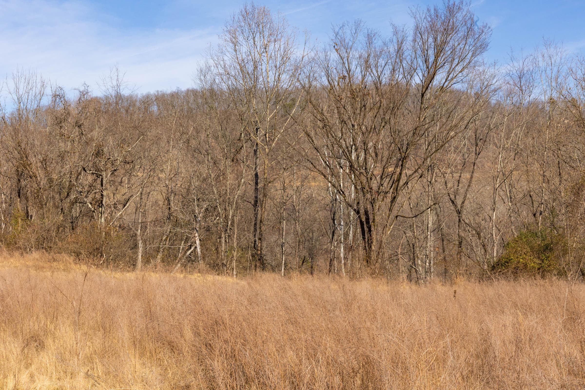Jade Pass — Zero Credit Land owner financed land for sale in Whitley County, Kentucky photo 43