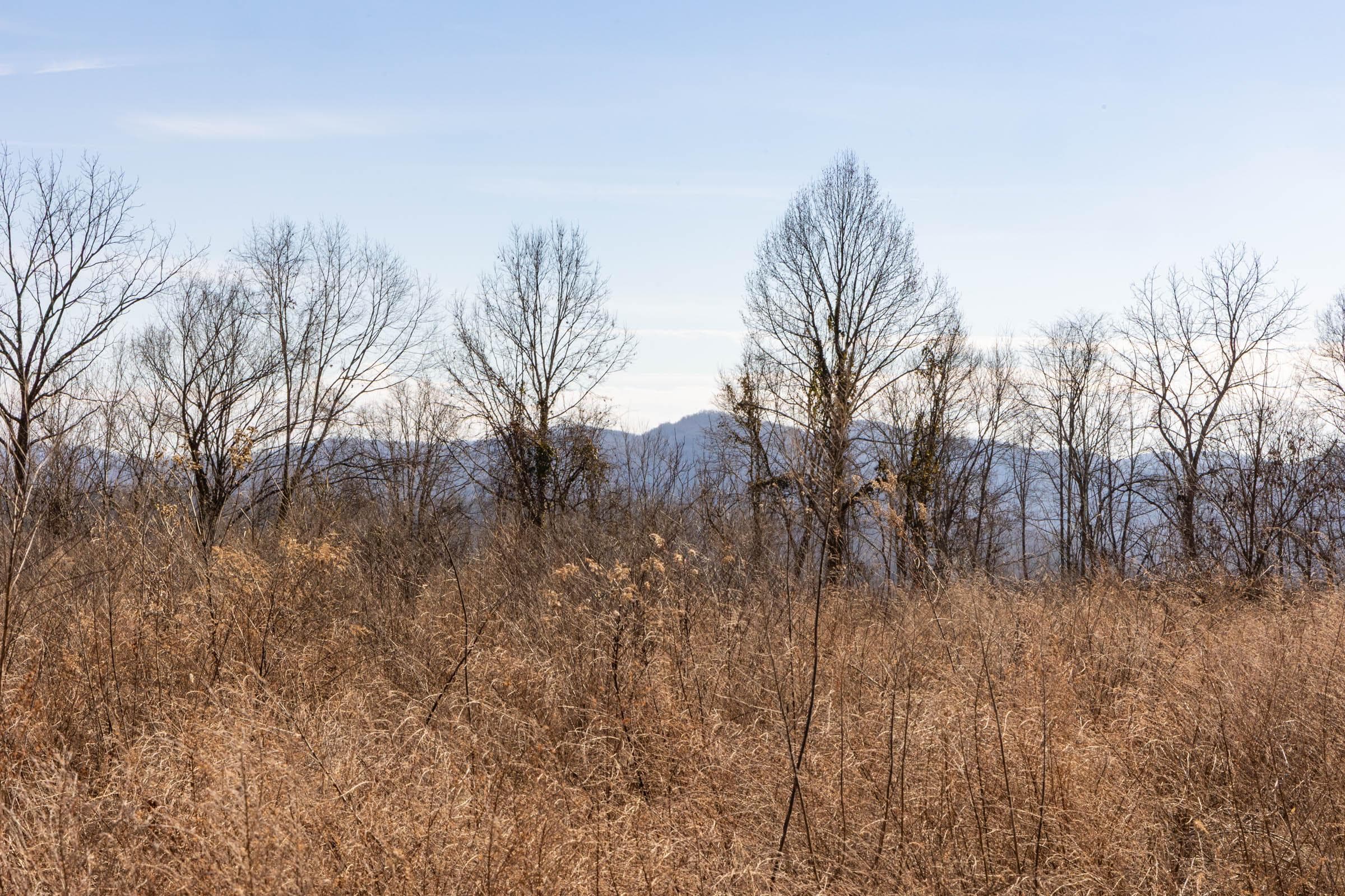 Jade Pass — Zero Credit Land owner financed land for sale in Whitley County, Kentucky photo 44