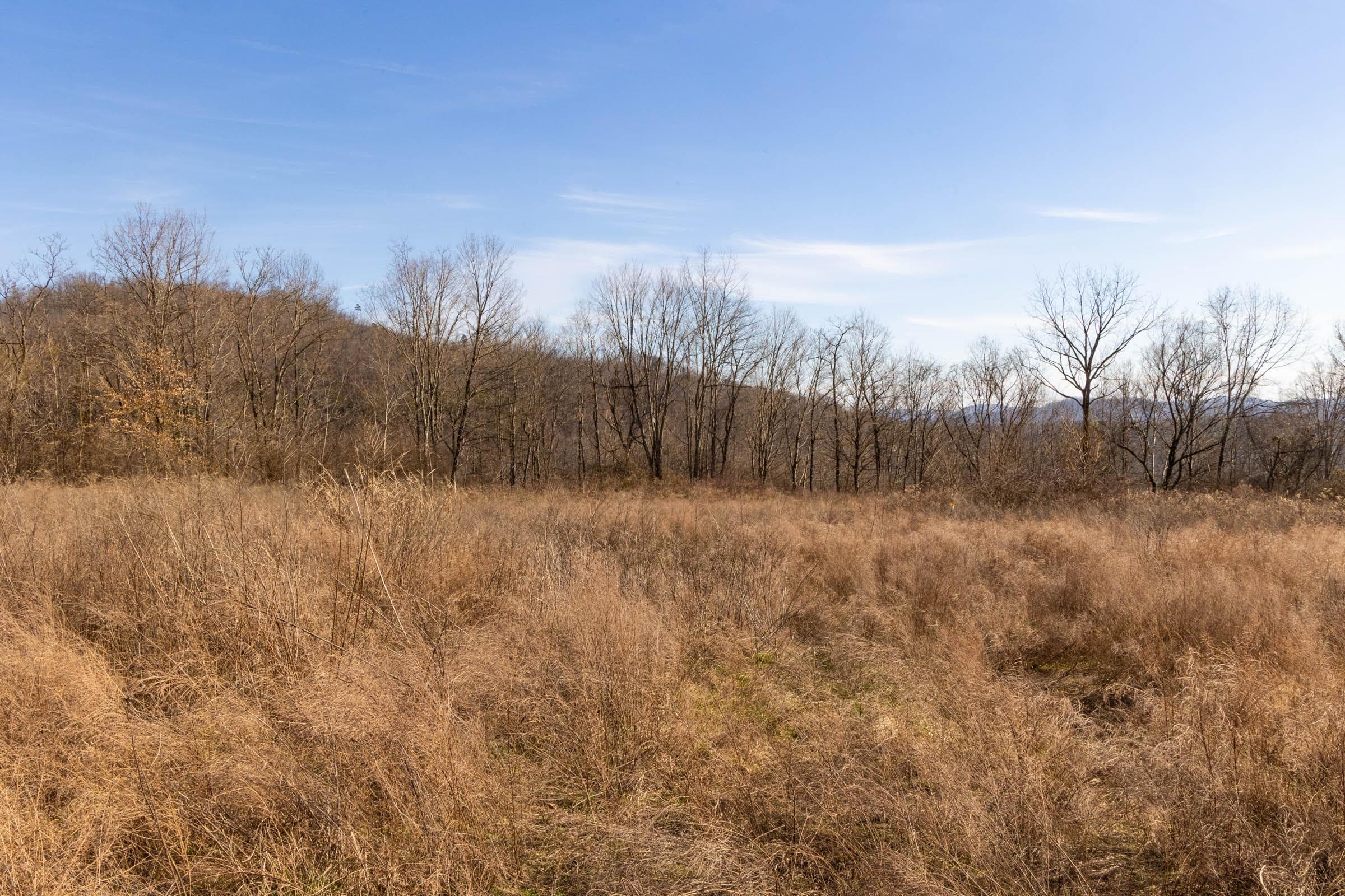 Jade Pass — Zero Credit Land owner financed land for sale in Whitley County, Kentucky photo 41