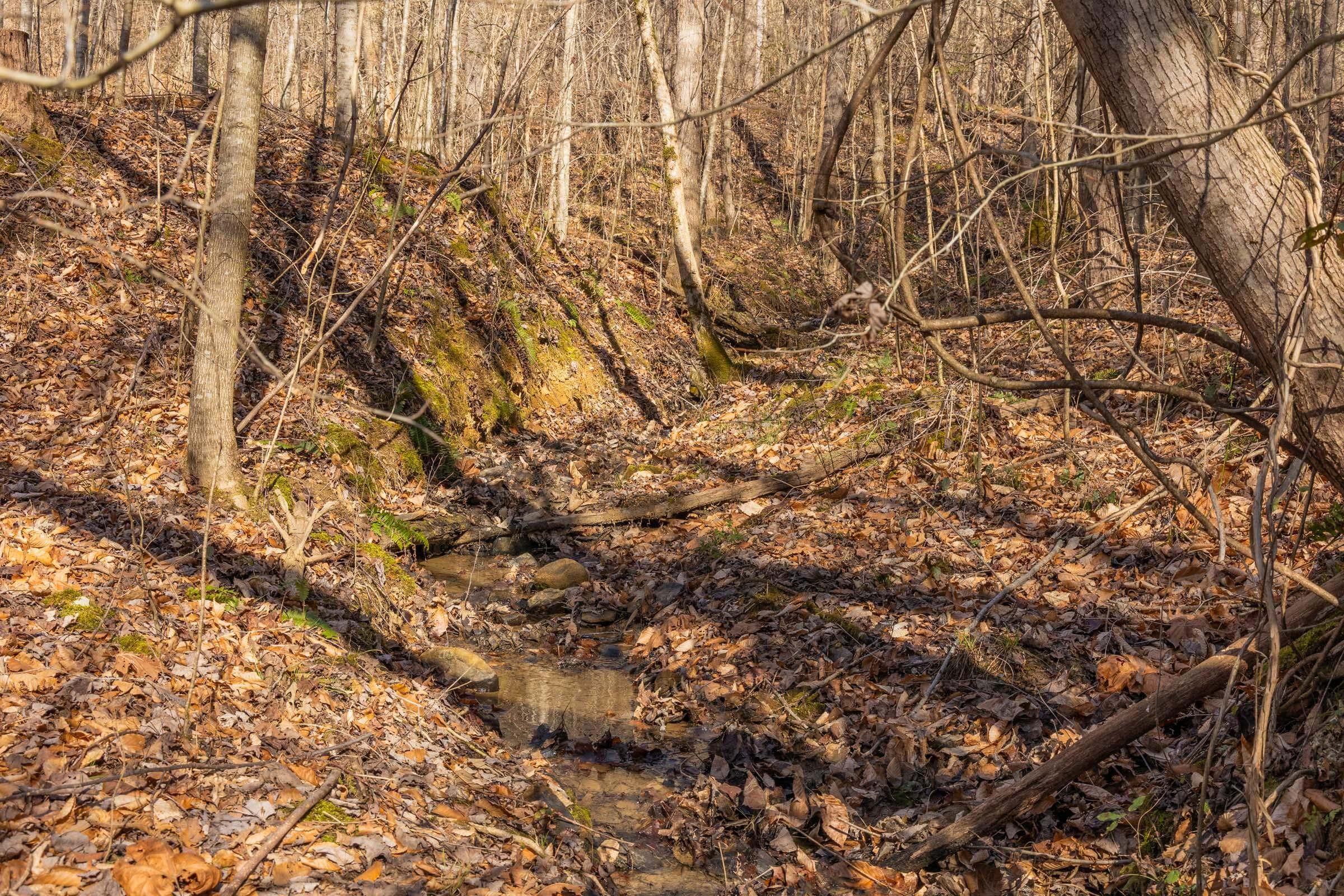Jade Pass — Zero Credit Land owner financed land for sale in Whitley County, Kentucky photo 35