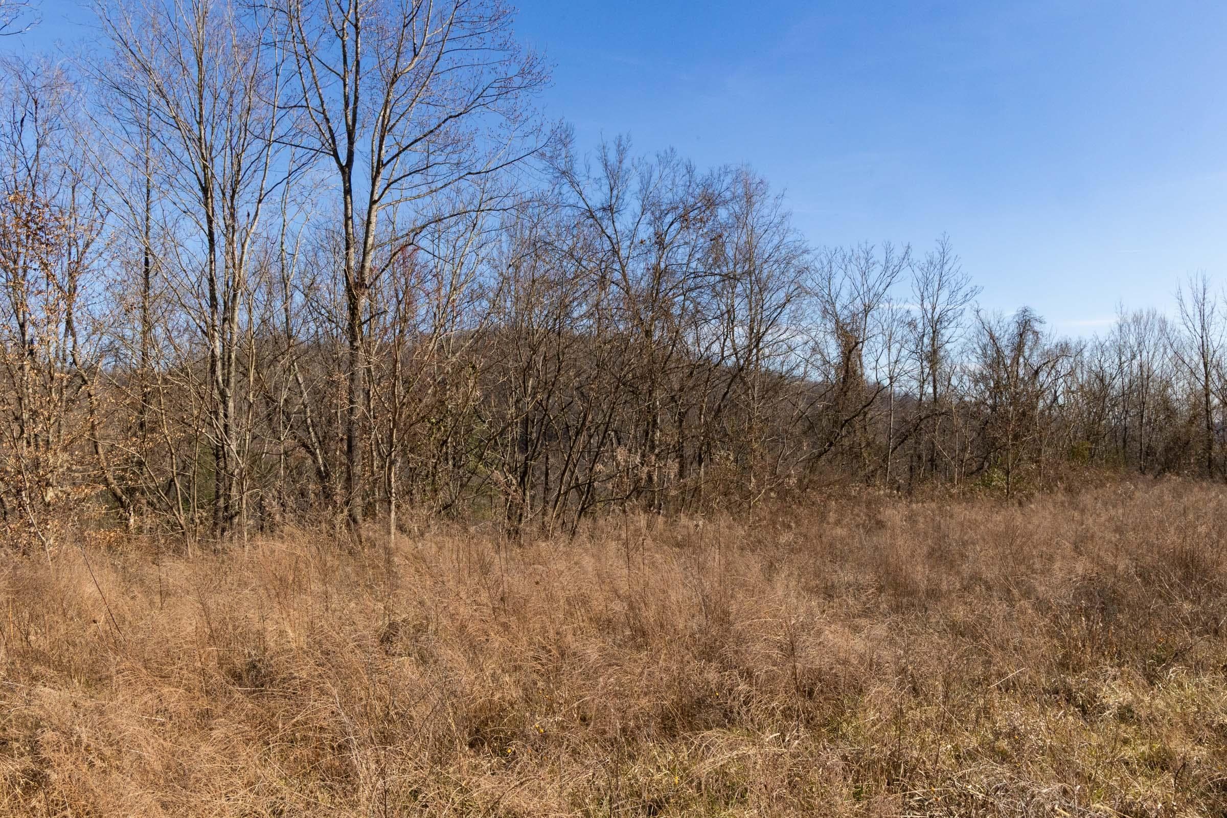 Jade Pass — Zero Credit Land owner financed land for sale in Whitley County, Kentucky photo 34