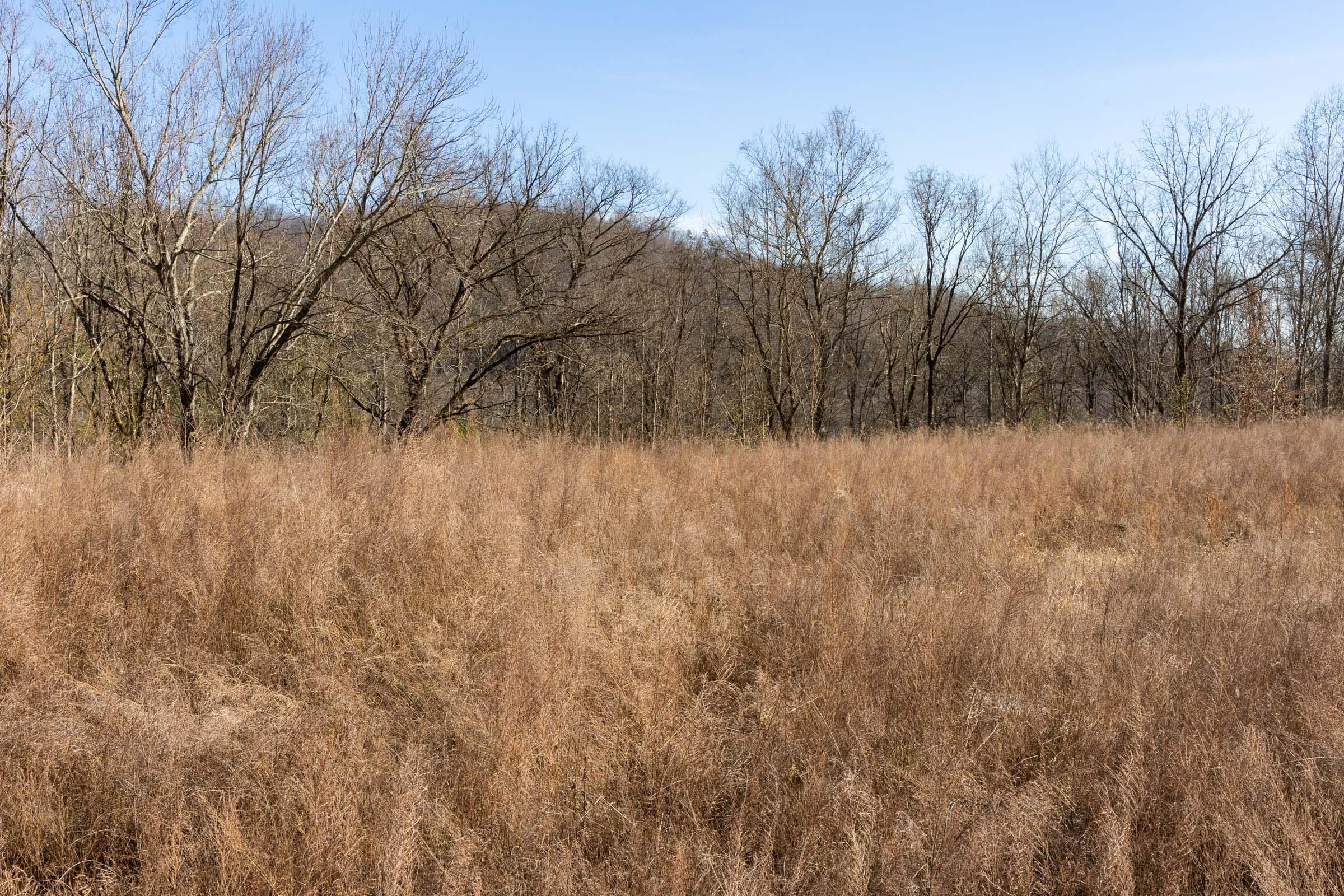 Jade Pass — Zero Credit Land owner financed land for sale in Whitley County, Kentucky photo 39