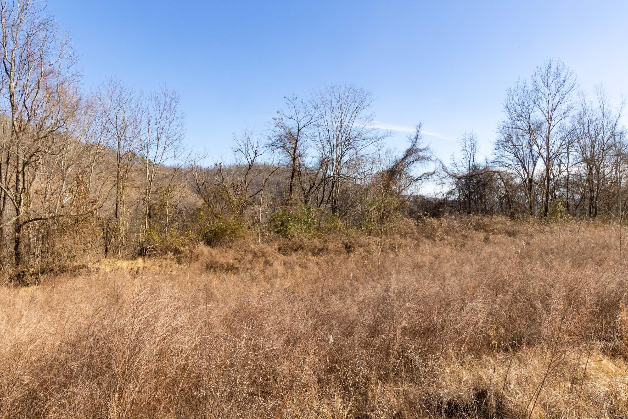 Jade Pass — Zero Credit Land owner financed land for sale in Whitley County, Kentucky photo 32