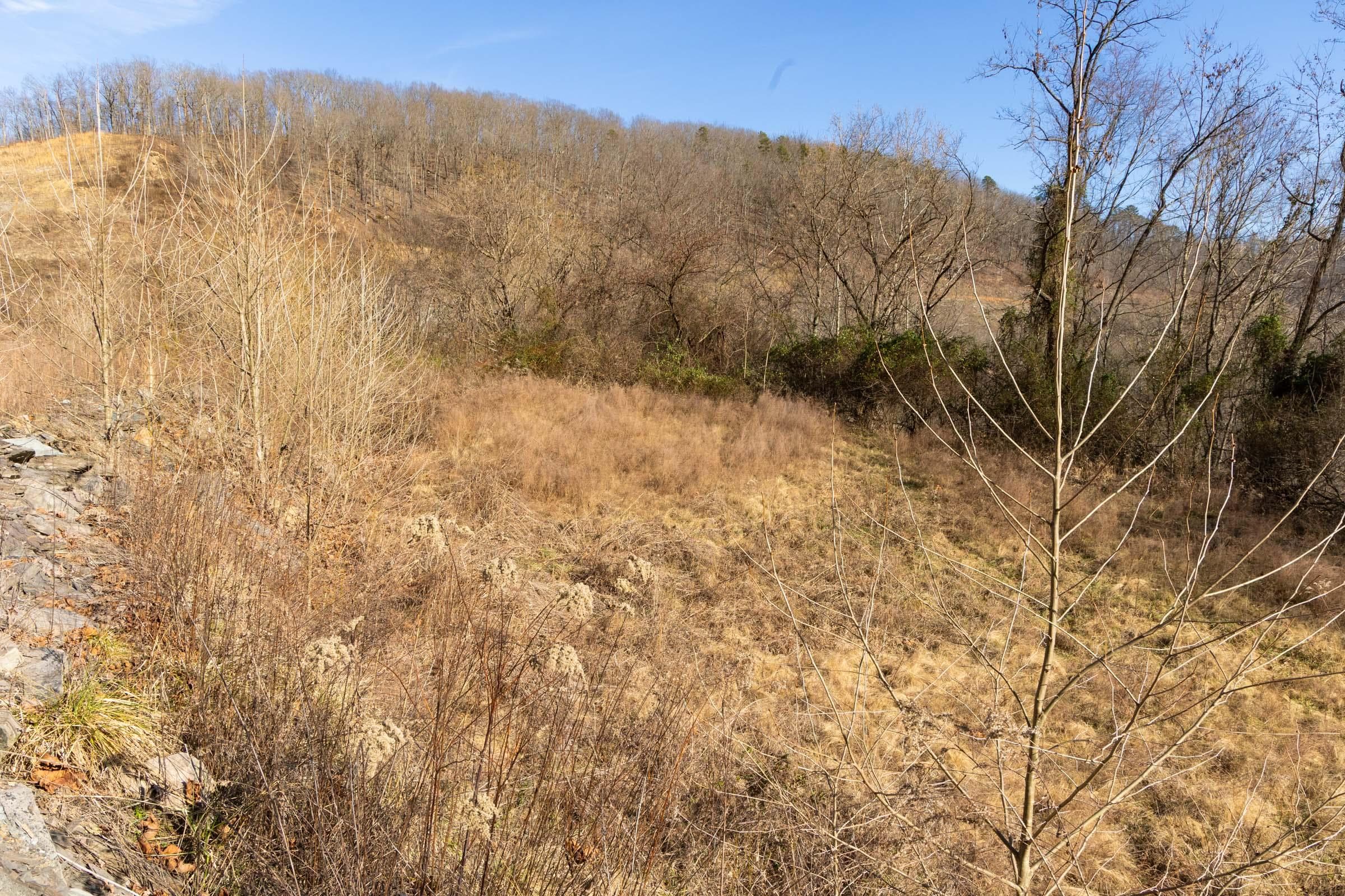 Jade Pass — Zero Credit Land owner financed land for sale in Whitley County, Kentucky photo 30