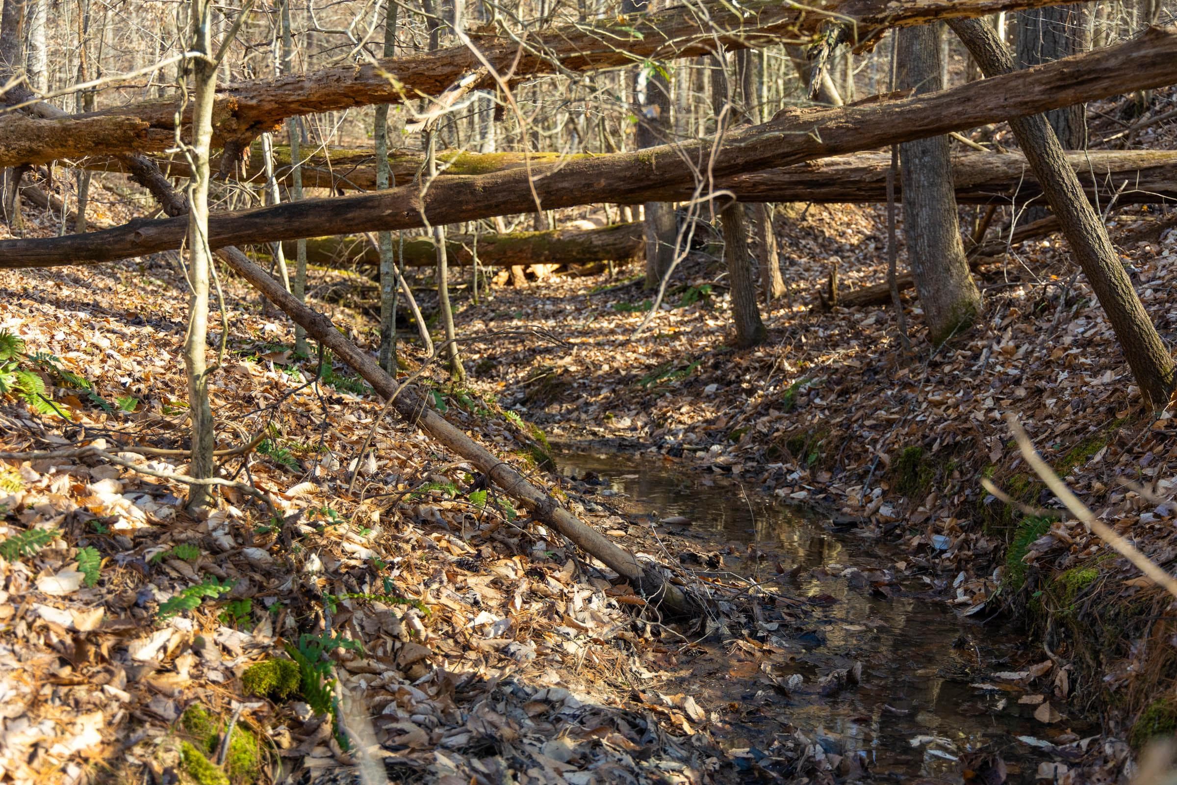 Jade Pass — Zero Credit Land owner financed land for sale in Whitley County, Kentucky photo 25