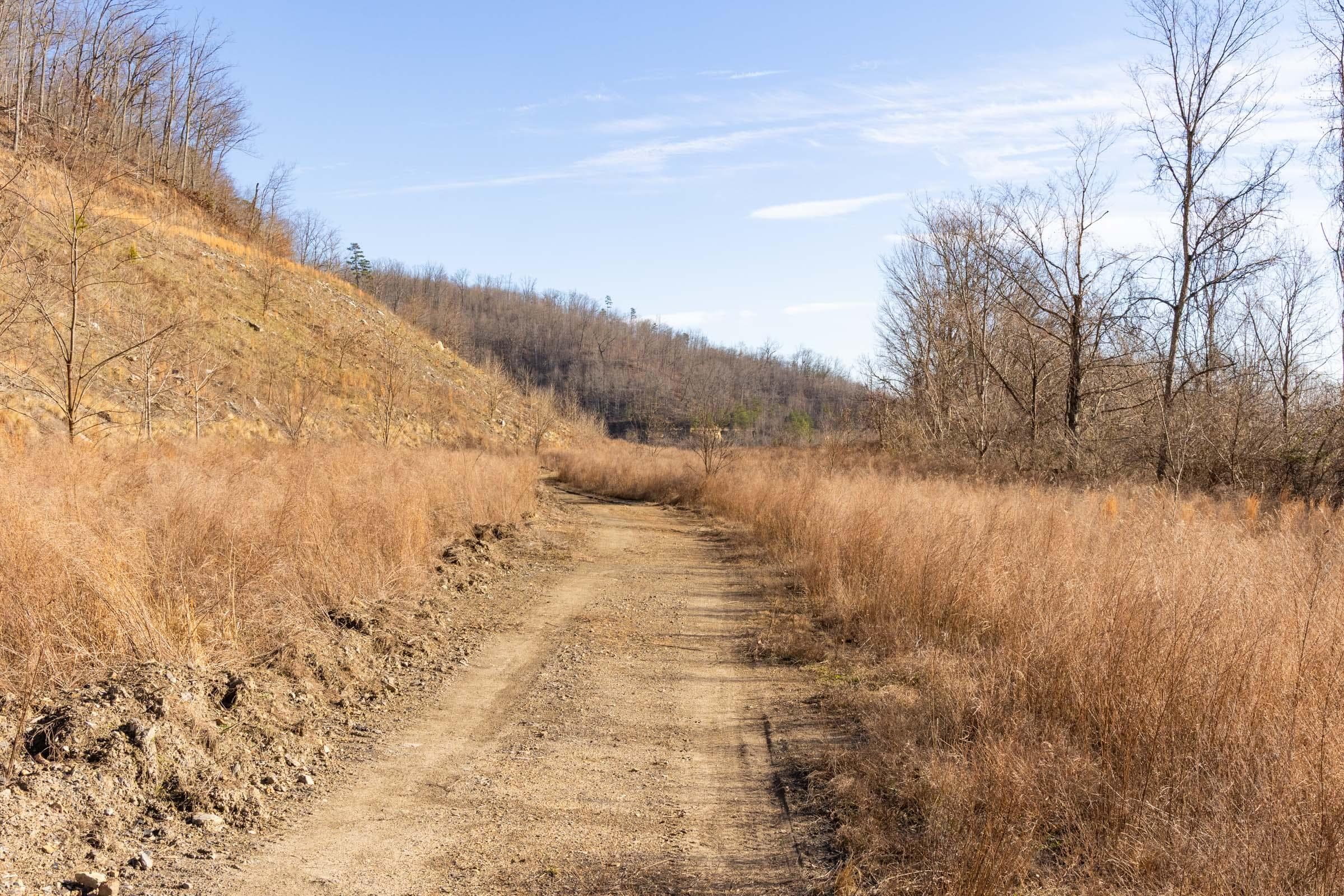 Jade Pass — Zero Credit Land owner financed land for sale in Whitley County, Kentucky photo 24