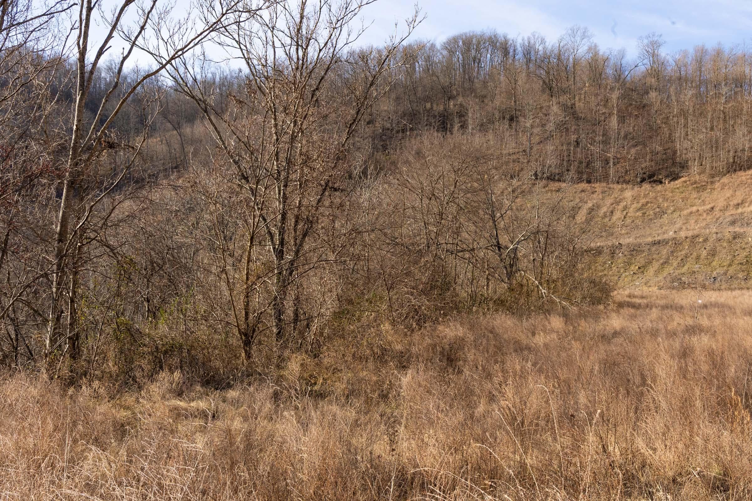 Jade Pass — Zero Credit Land owner financed land for sale in Whitley County, Kentucky photo 27