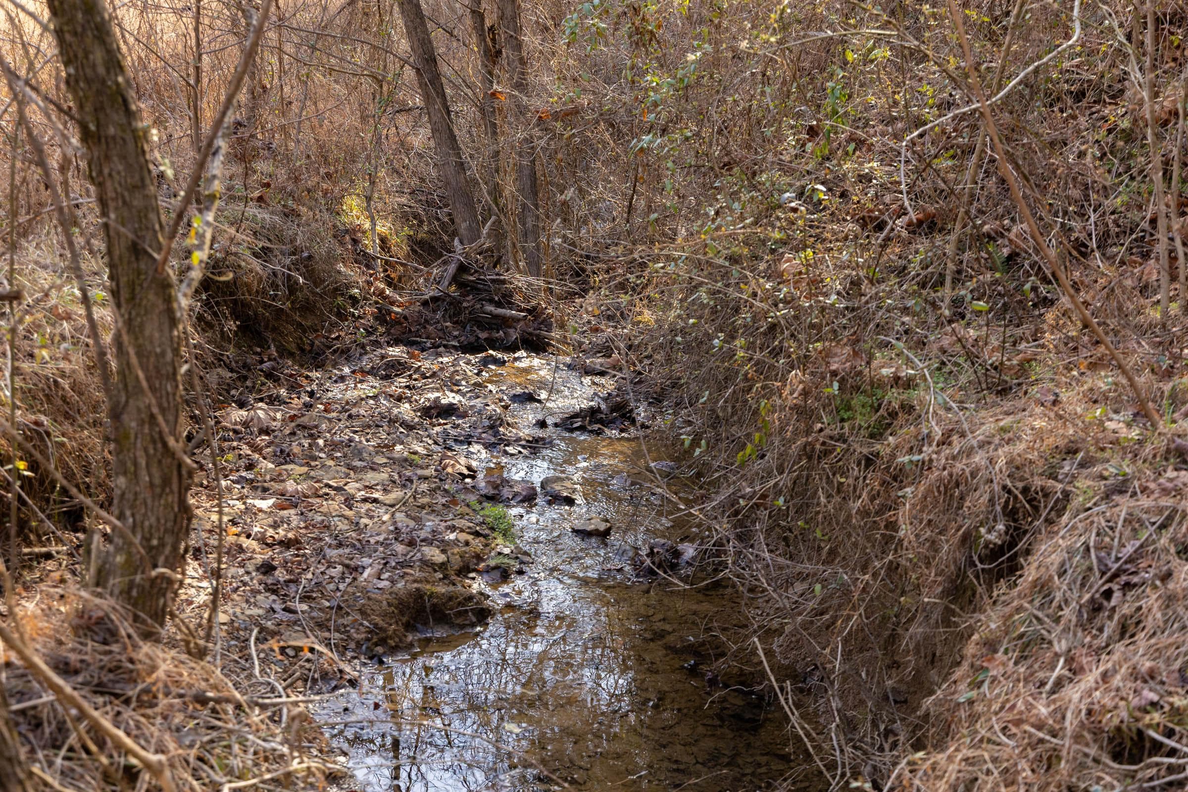 Jade Pass — Zero Credit Land owner financed land for sale in Whitley County, Kentucky photo 21