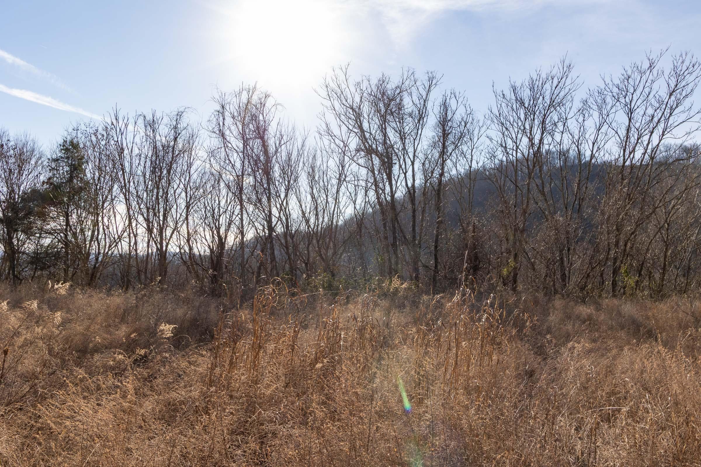 Jade Pass — Zero Credit Land owner financed land for sale in Whitley County, Kentucky photo 19