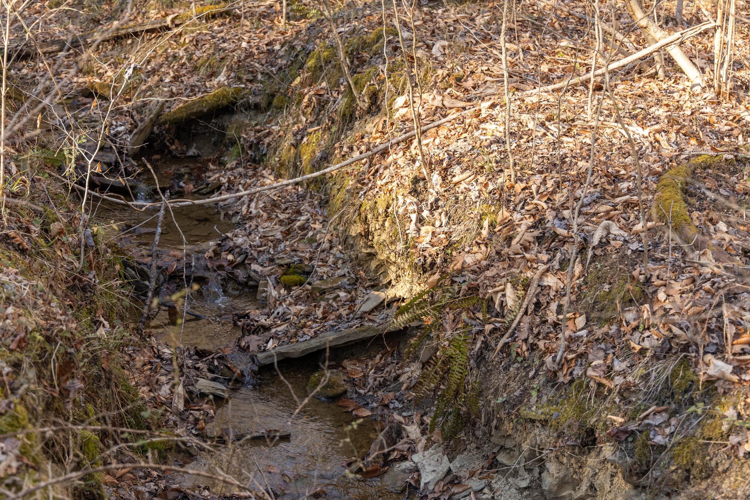 Jade Pass — Zero Credit Land owner financed land for sale in Whitley County, Kentucky photo 15