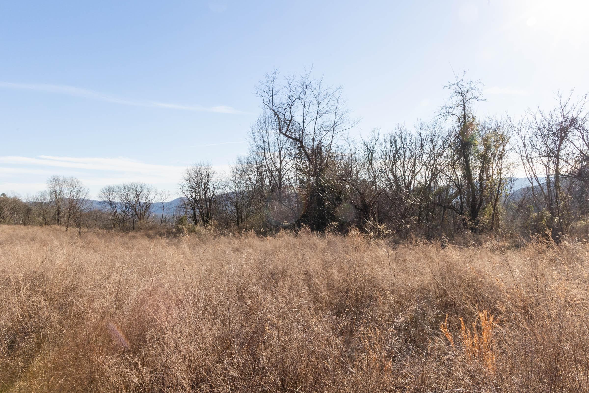 Jade Pass — Zero Credit Land owner financed land for sale in Whitley County, Kentucky photo 17