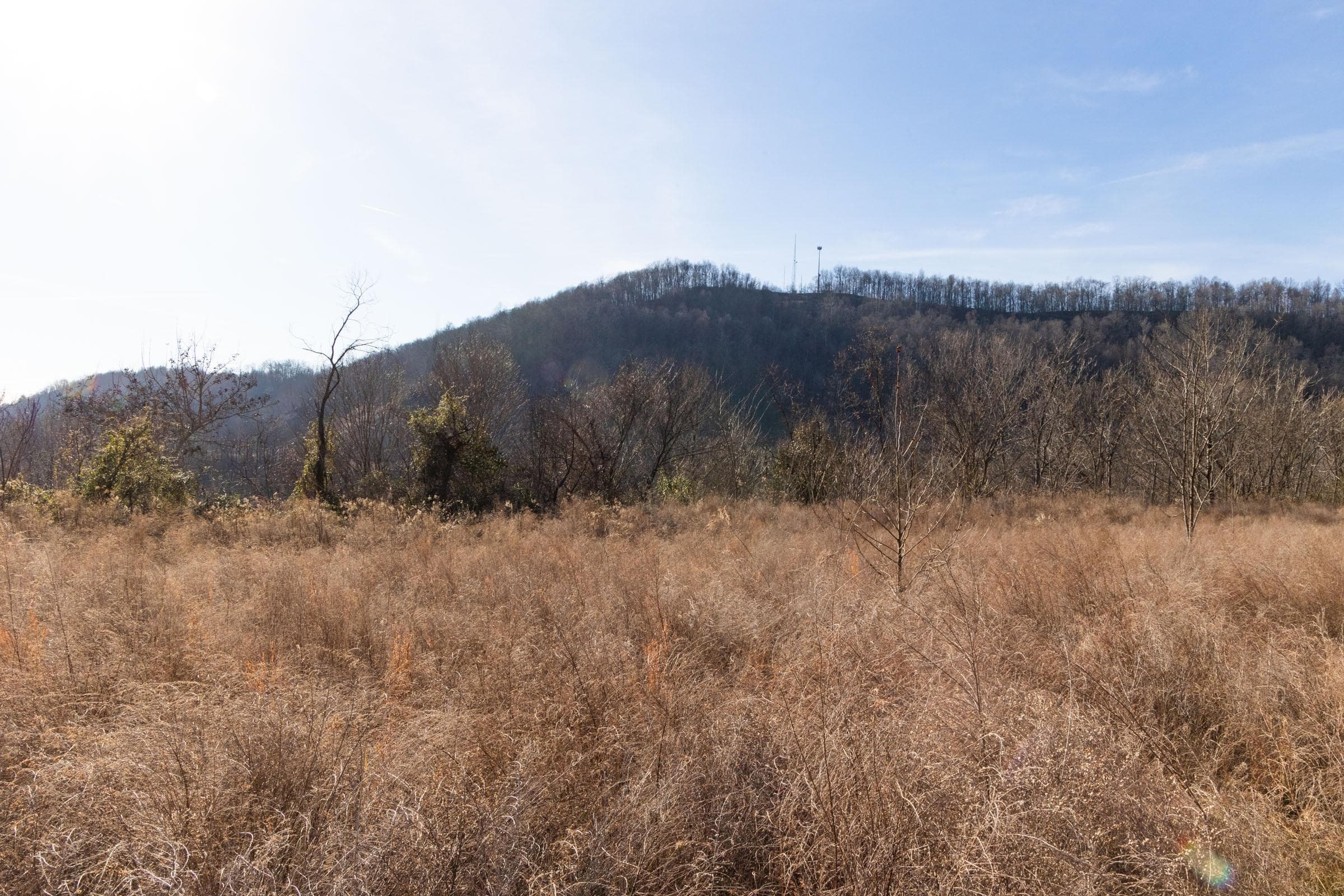 Jade Pass — Zero Credit Land owner financed land for sale in Whitley County, Kentucky photo 18