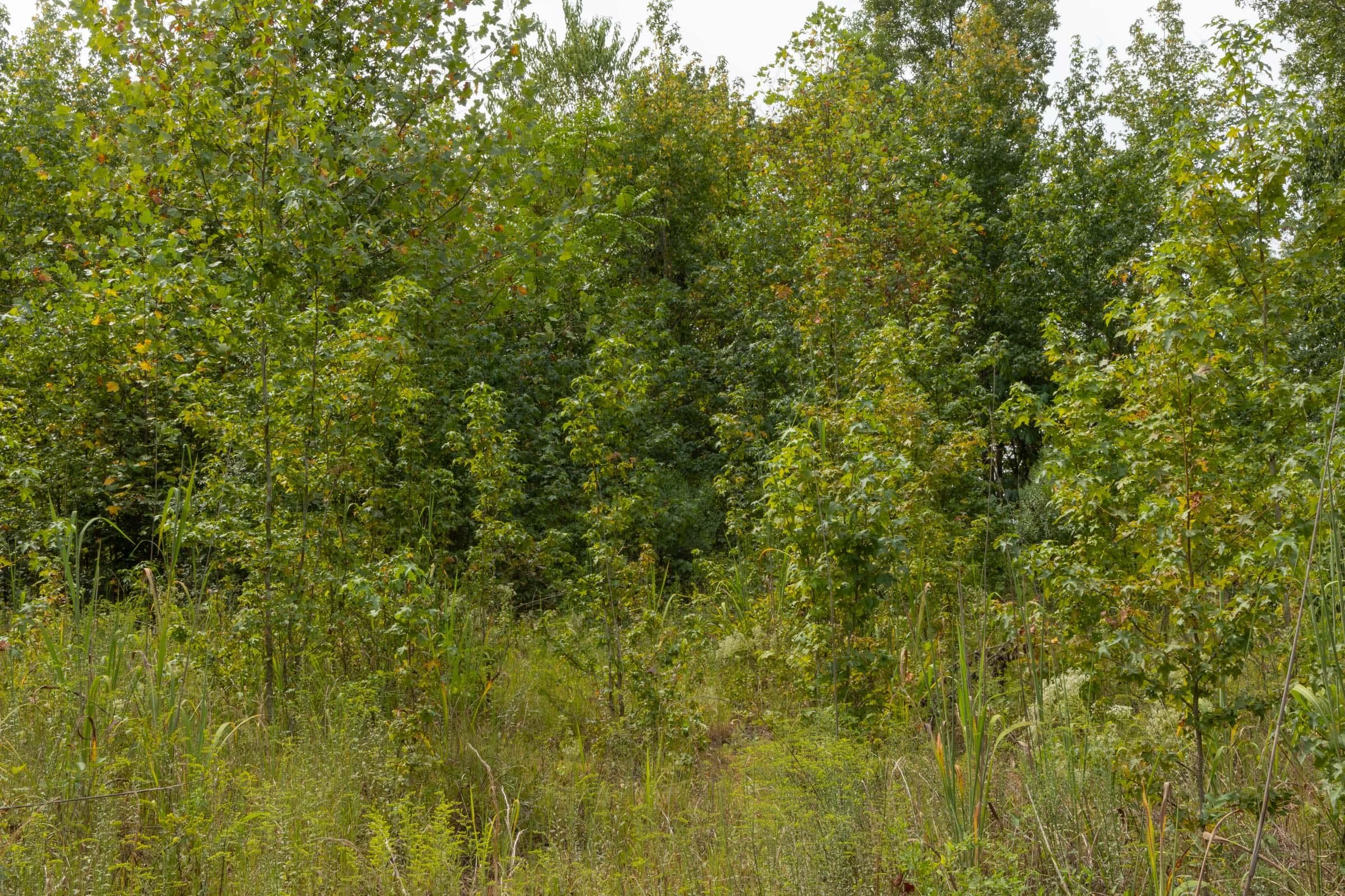 Property photo 267