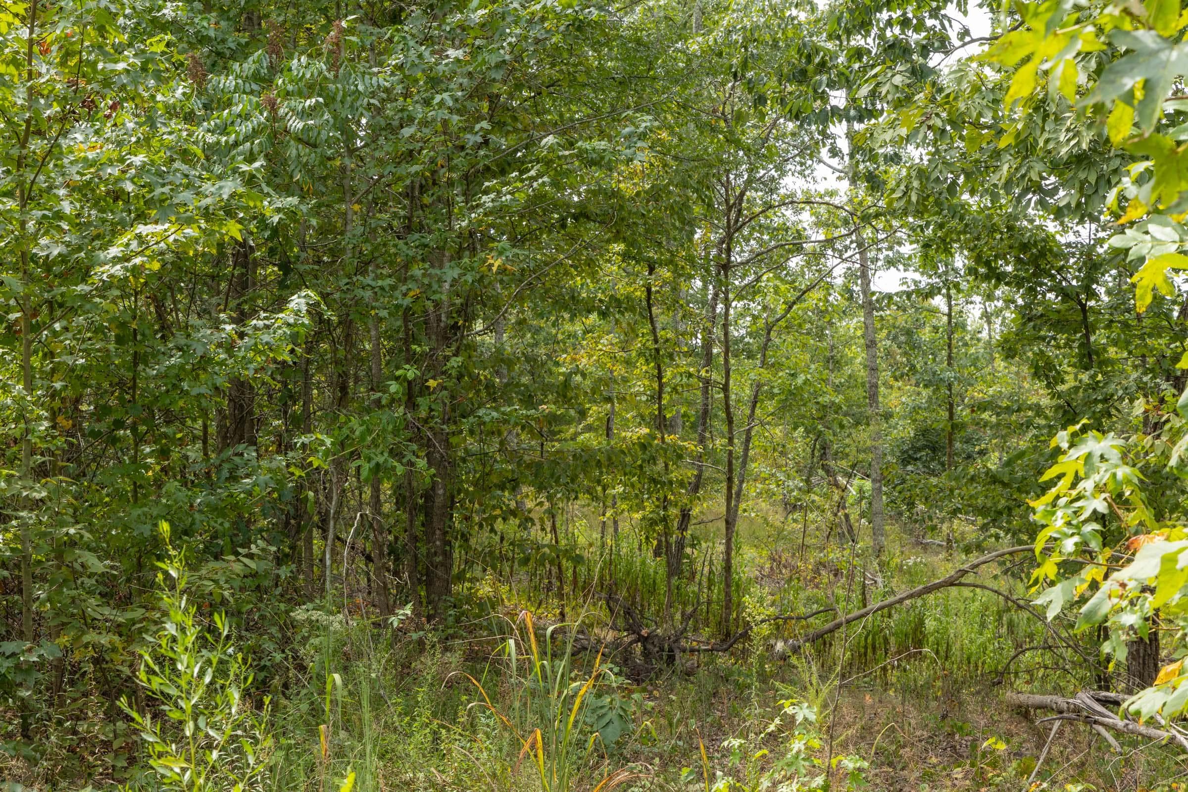 Property photo 263