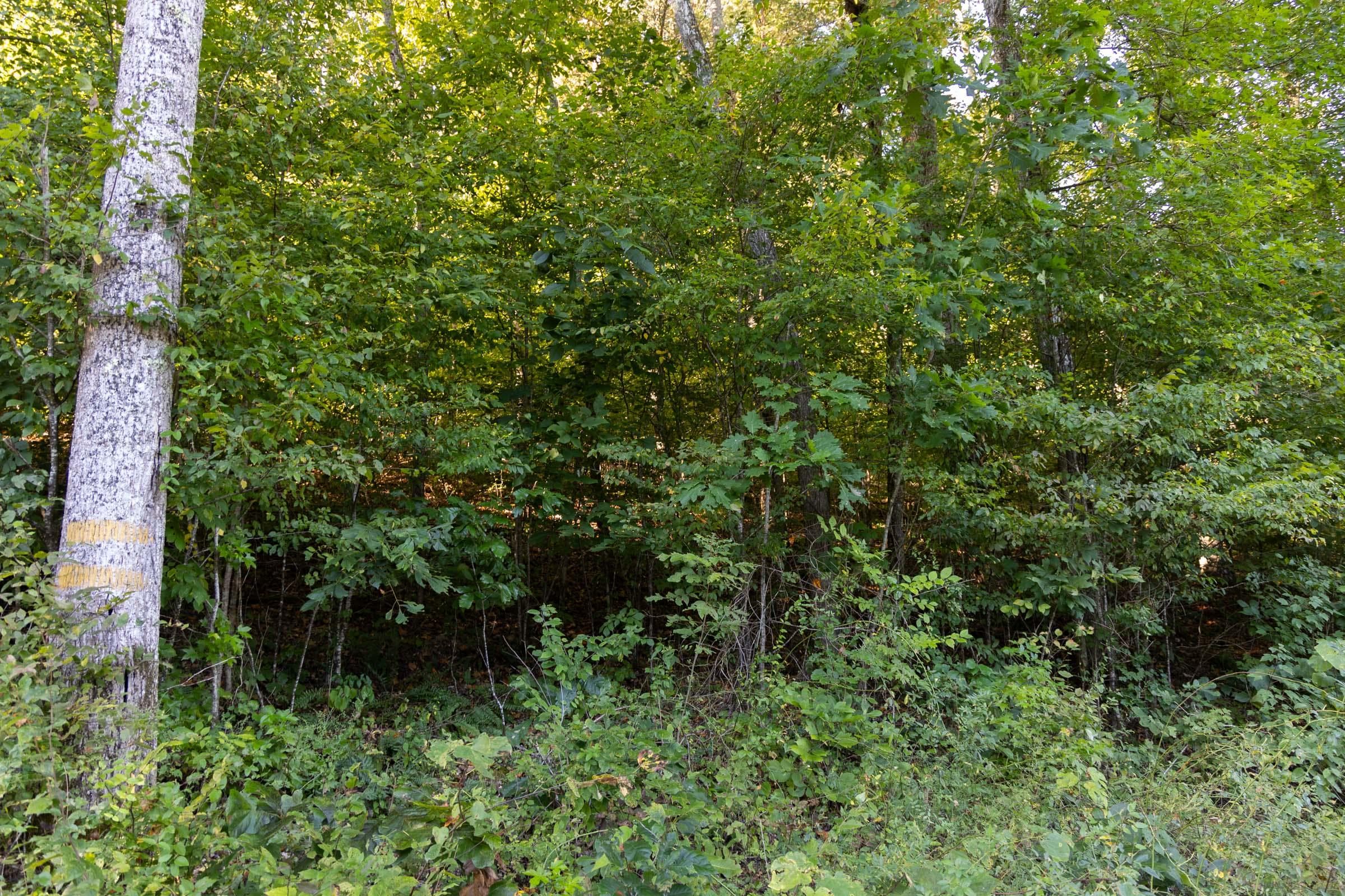 Property photo 320